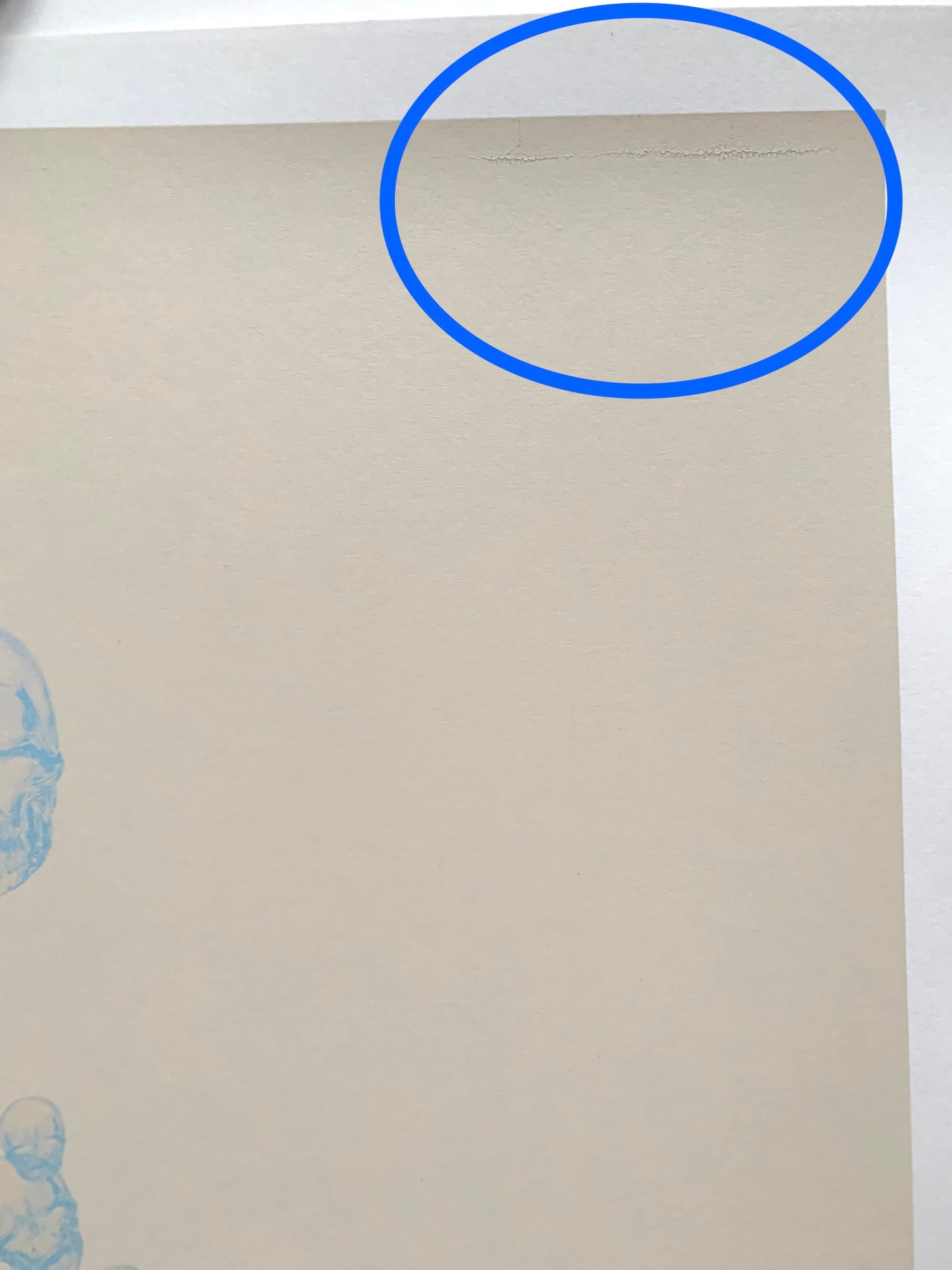 Blown Away ( tiny blemish)