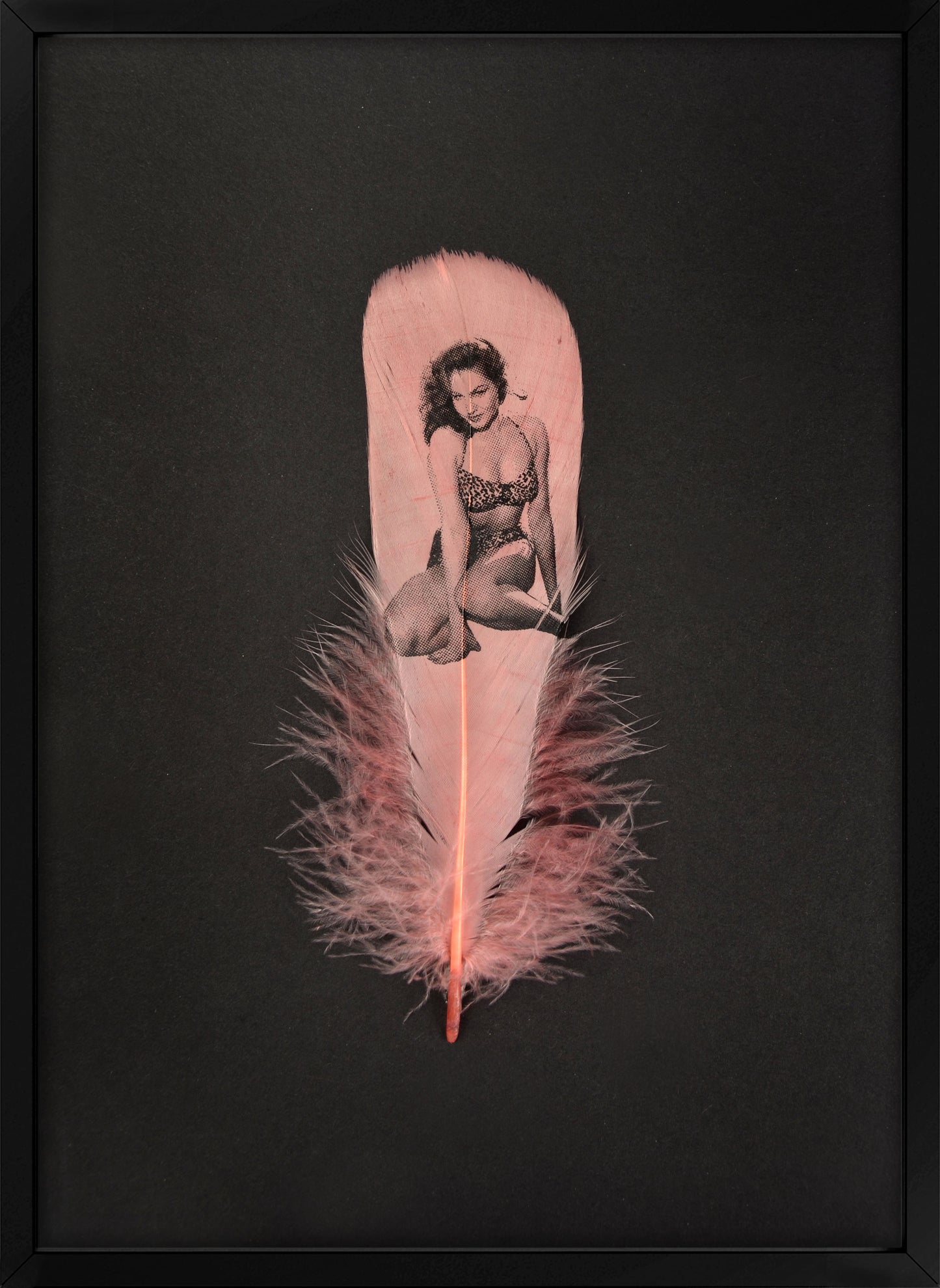 Julie Dusty Pink Feather