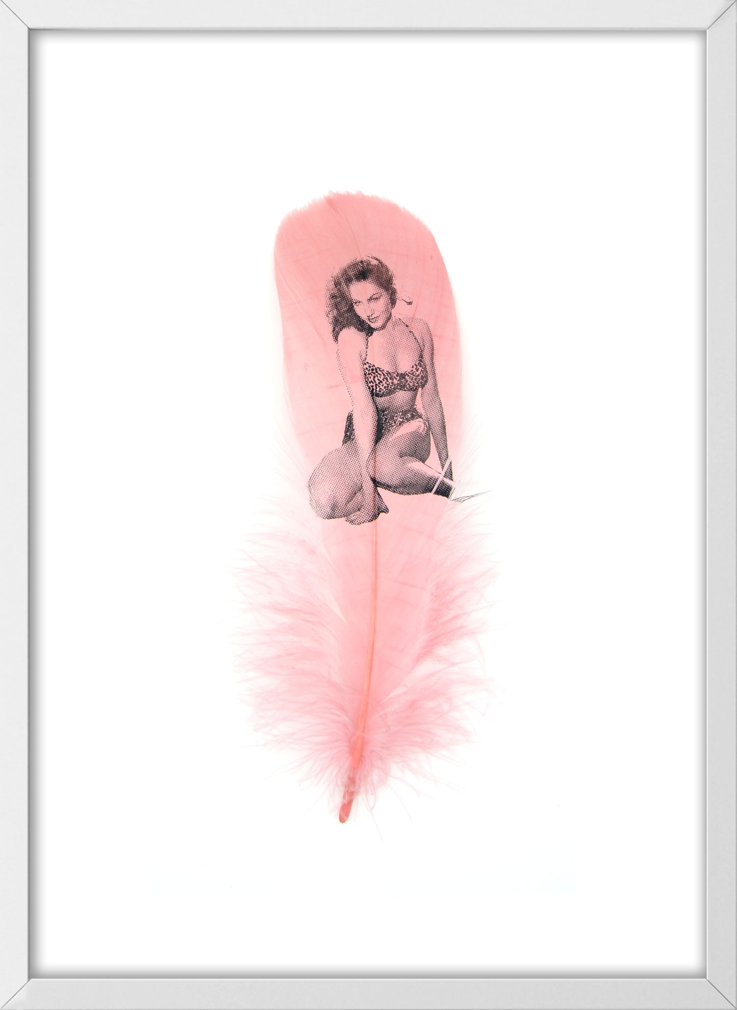 Julie Dusty Pink Feather