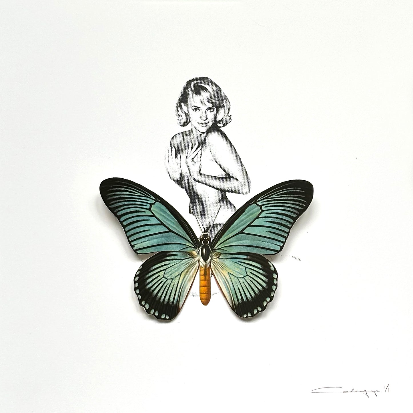 Mariposa 44