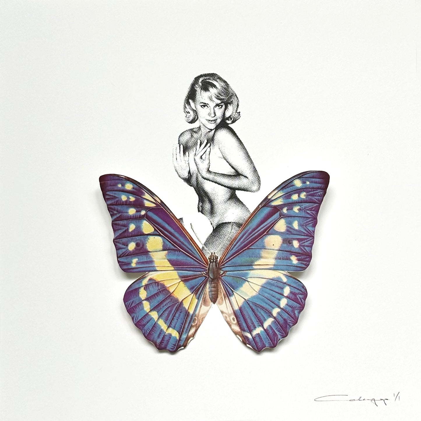Mariposa 45