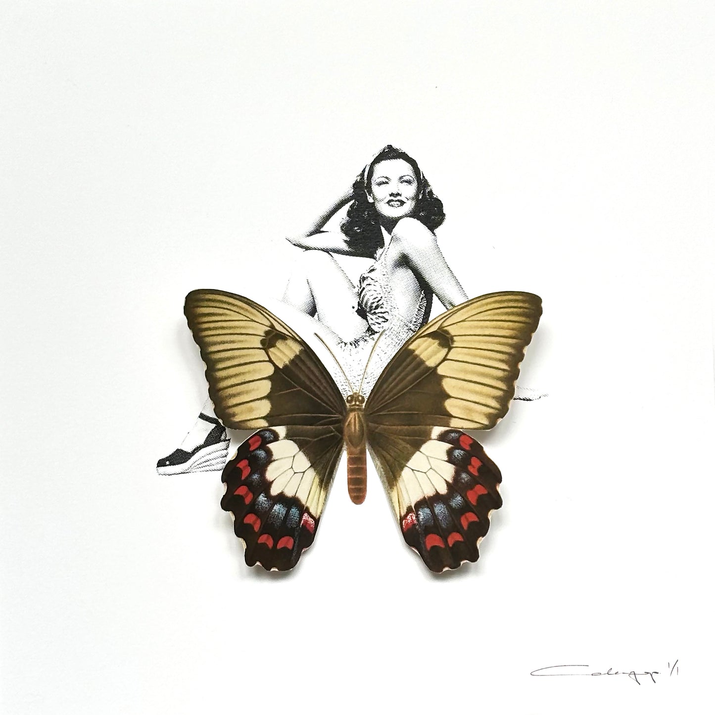 Mariposa 47