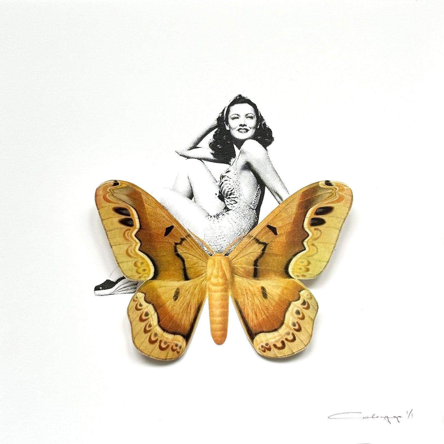 Mariposa 48