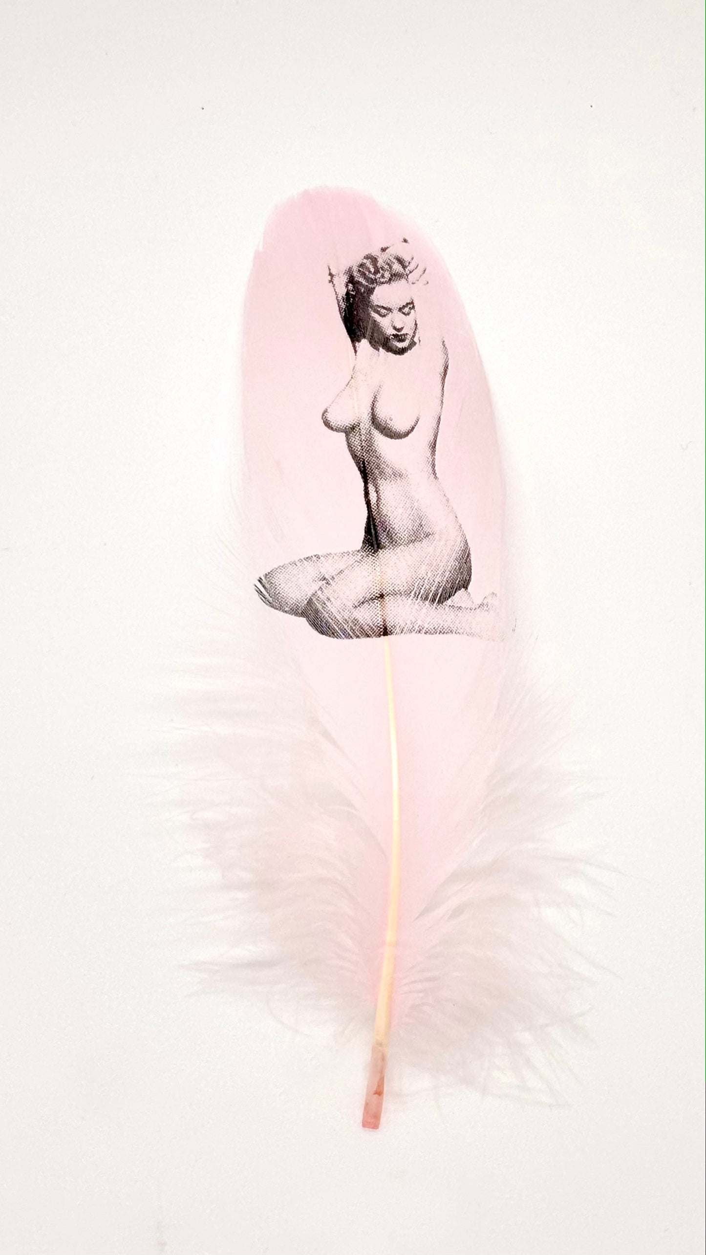Pin Up # 2 Baby Pink