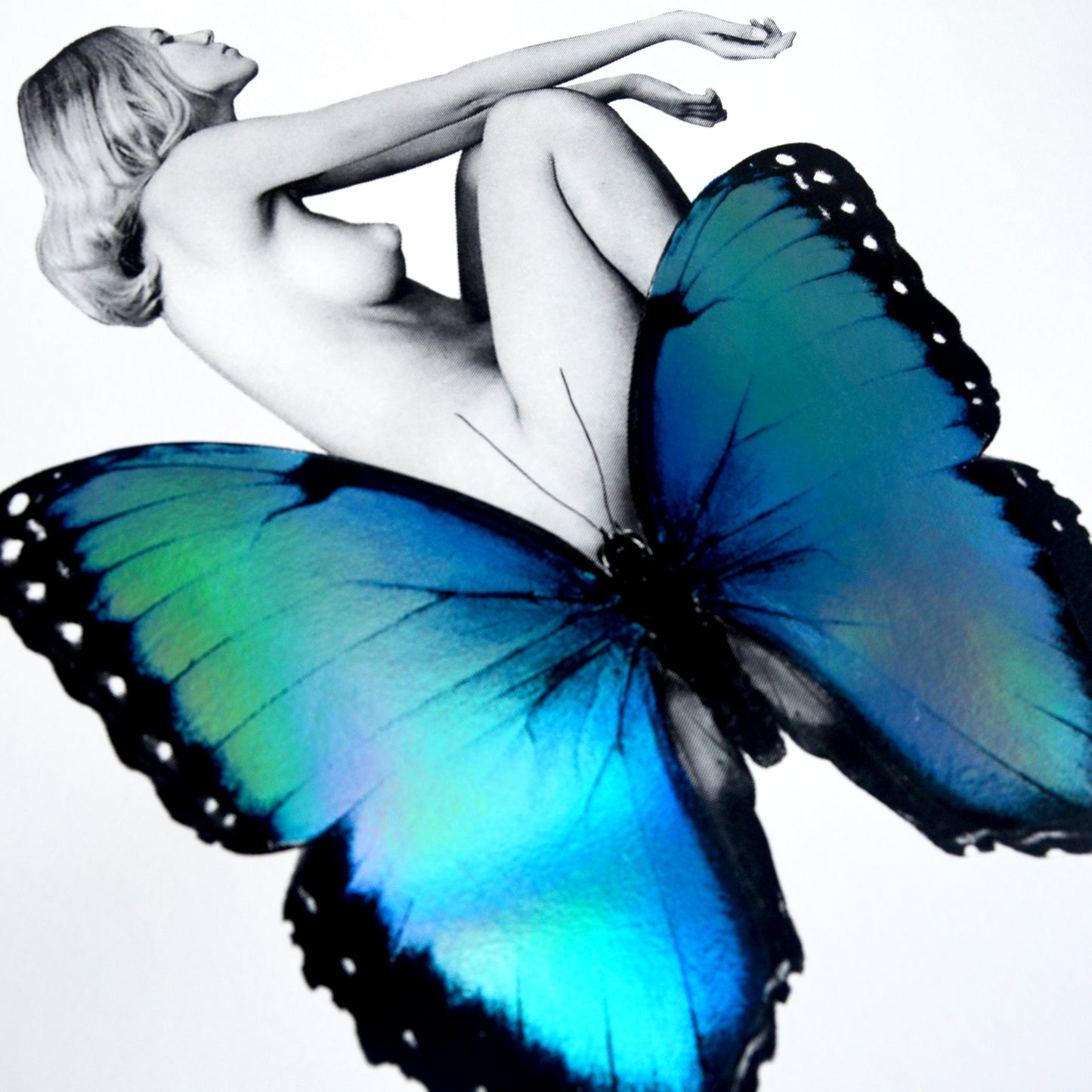 Daydreamer
