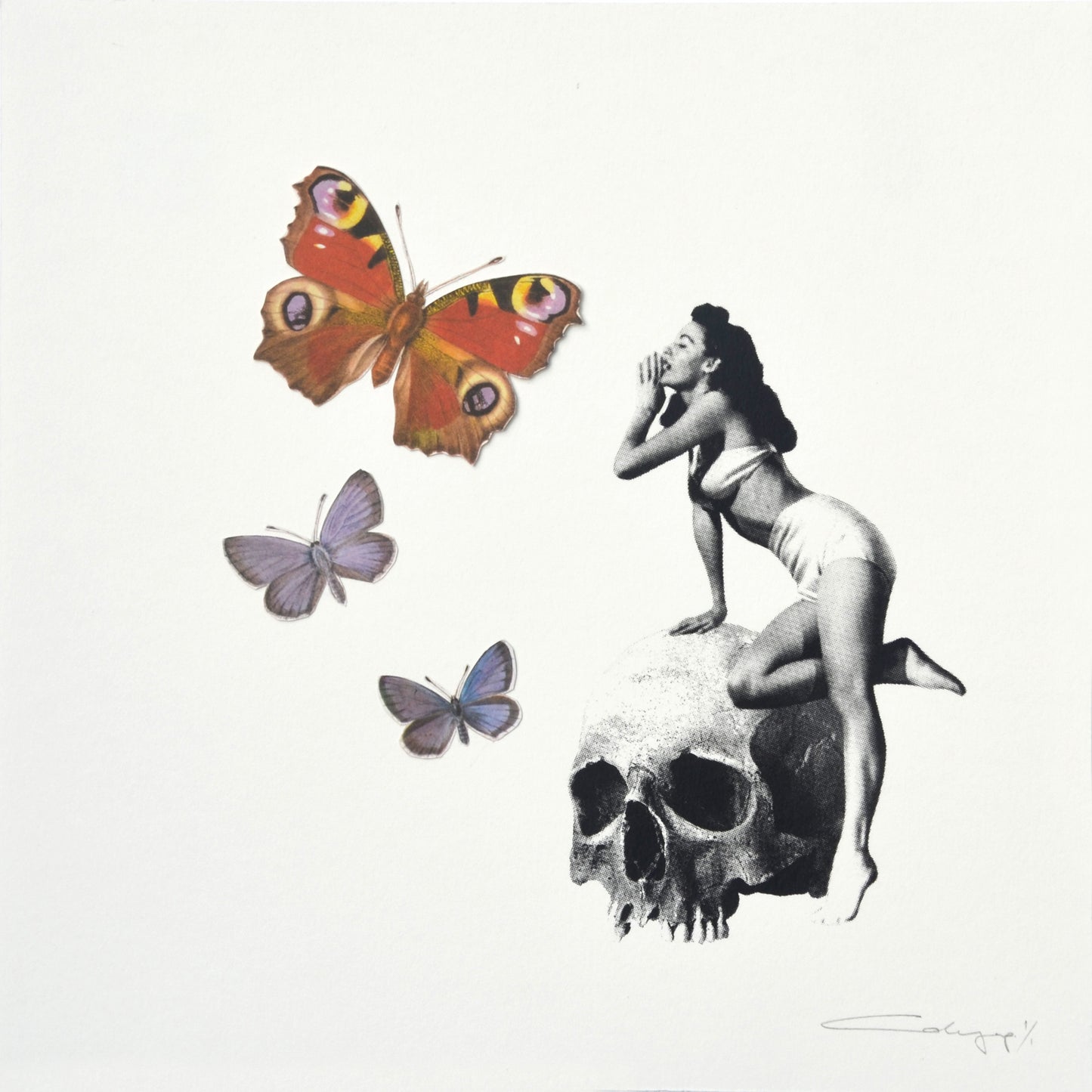 Mariposa 21
