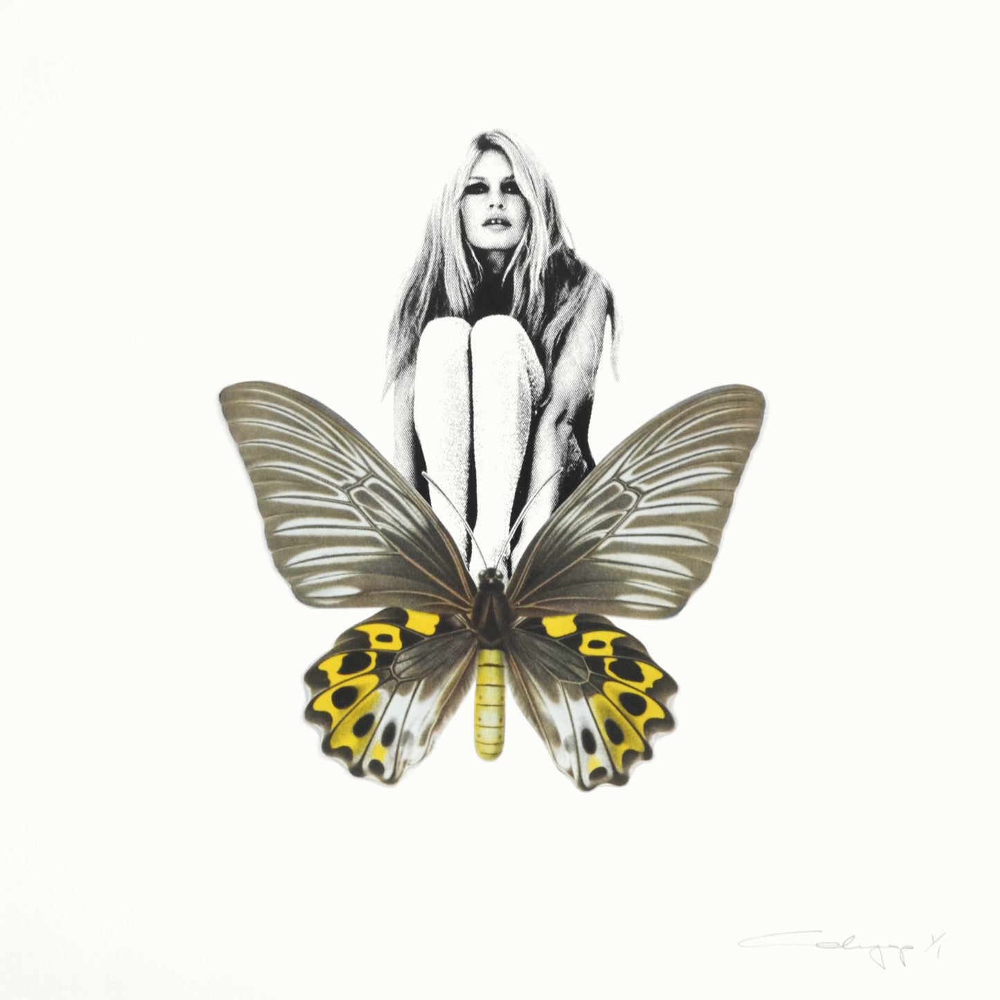 Mariposa 38