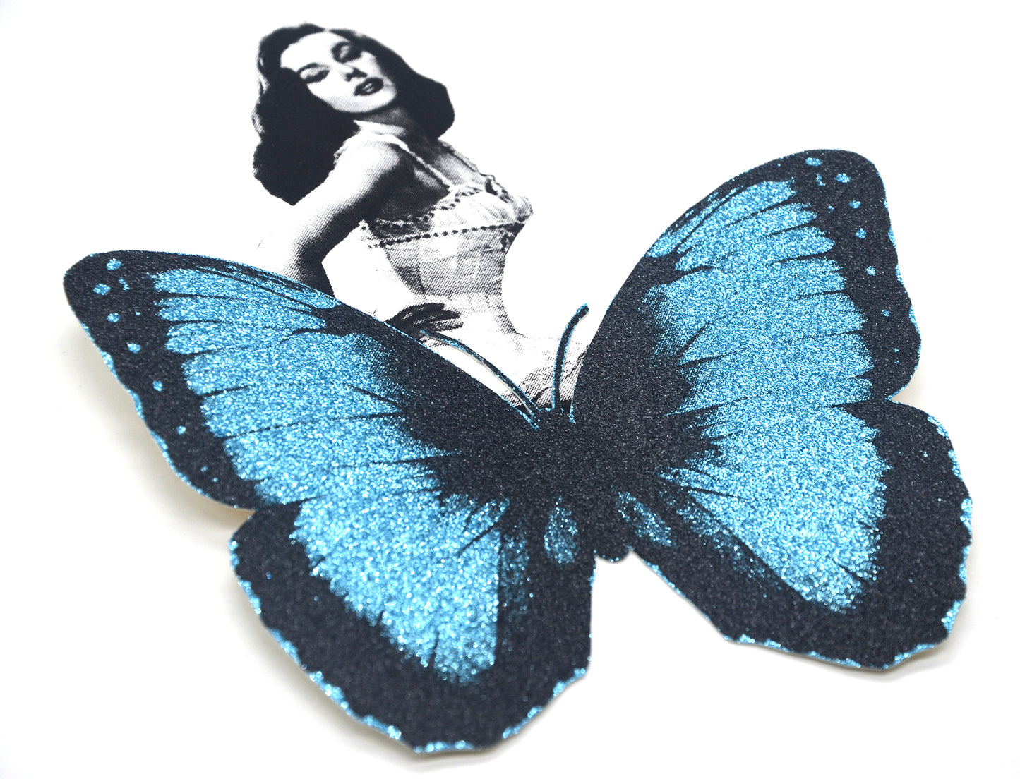 Mariposa Glitter Pin Up 4