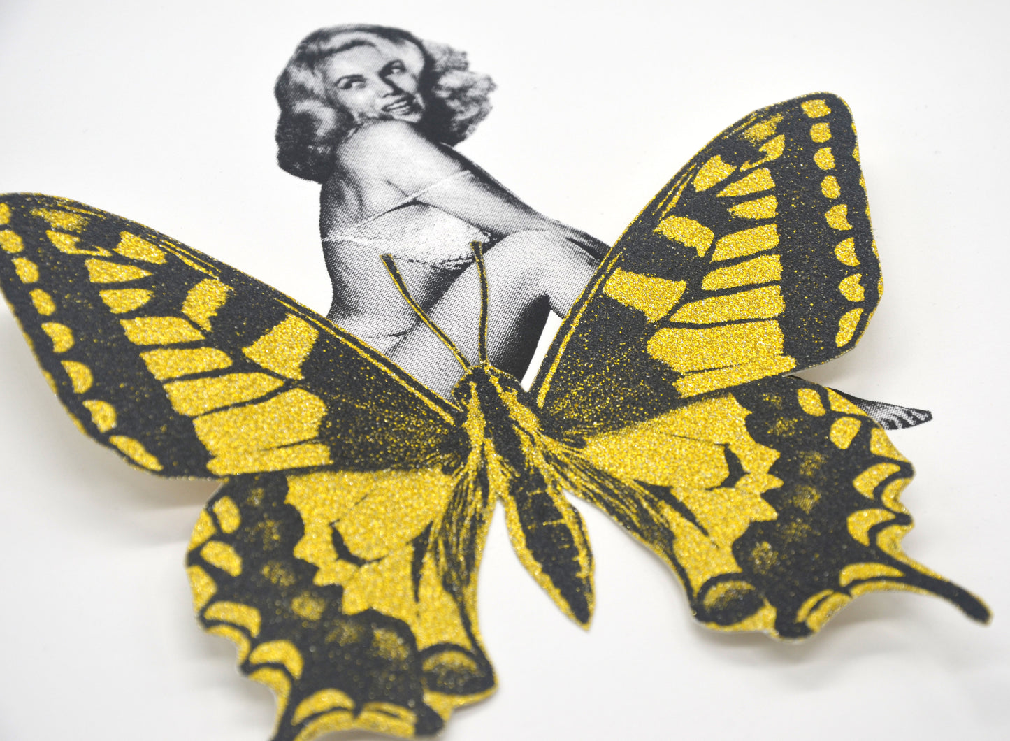 Mariposa Glitter Pin Up 6