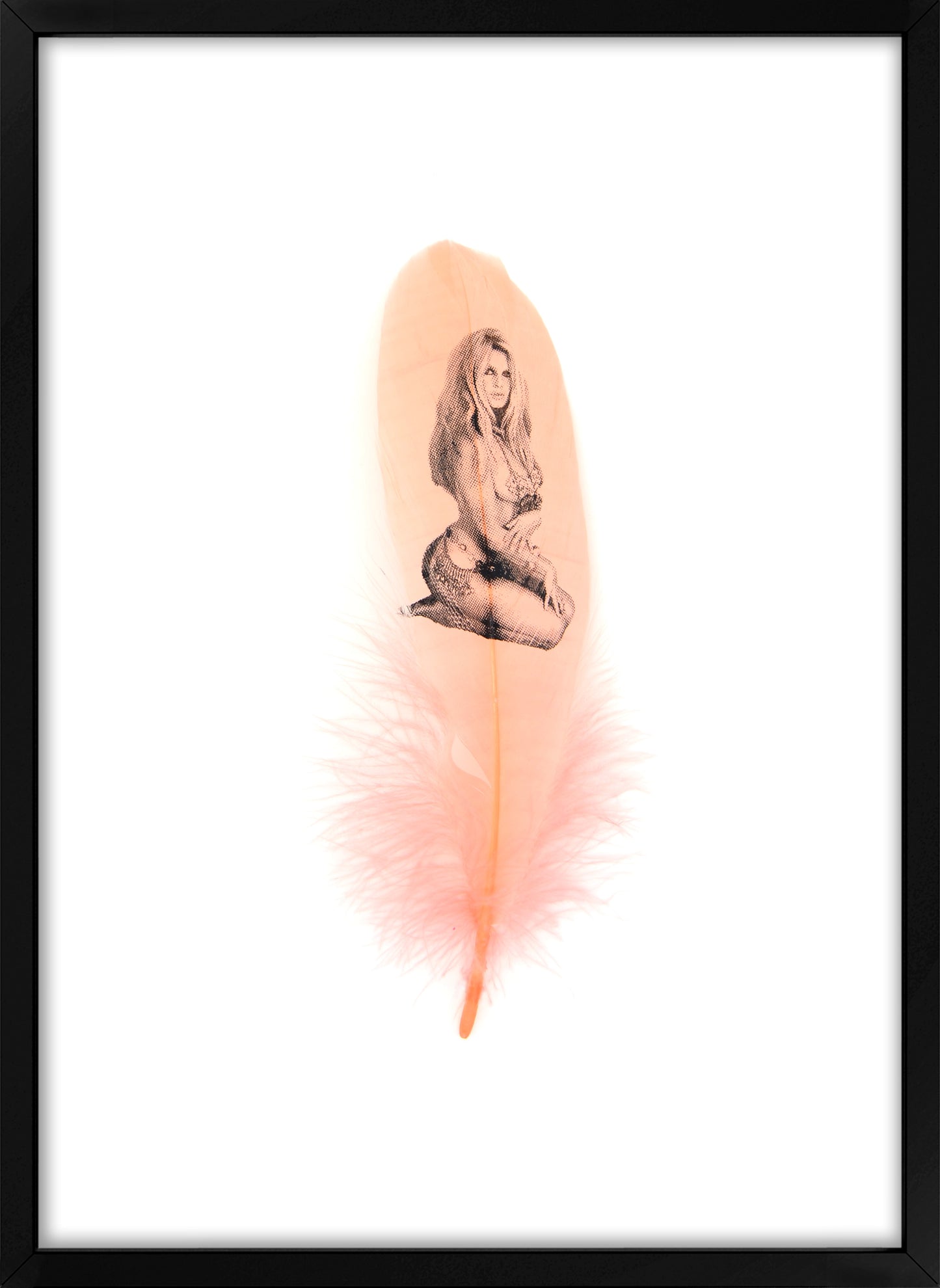 Brigitte Coral Pink Feather