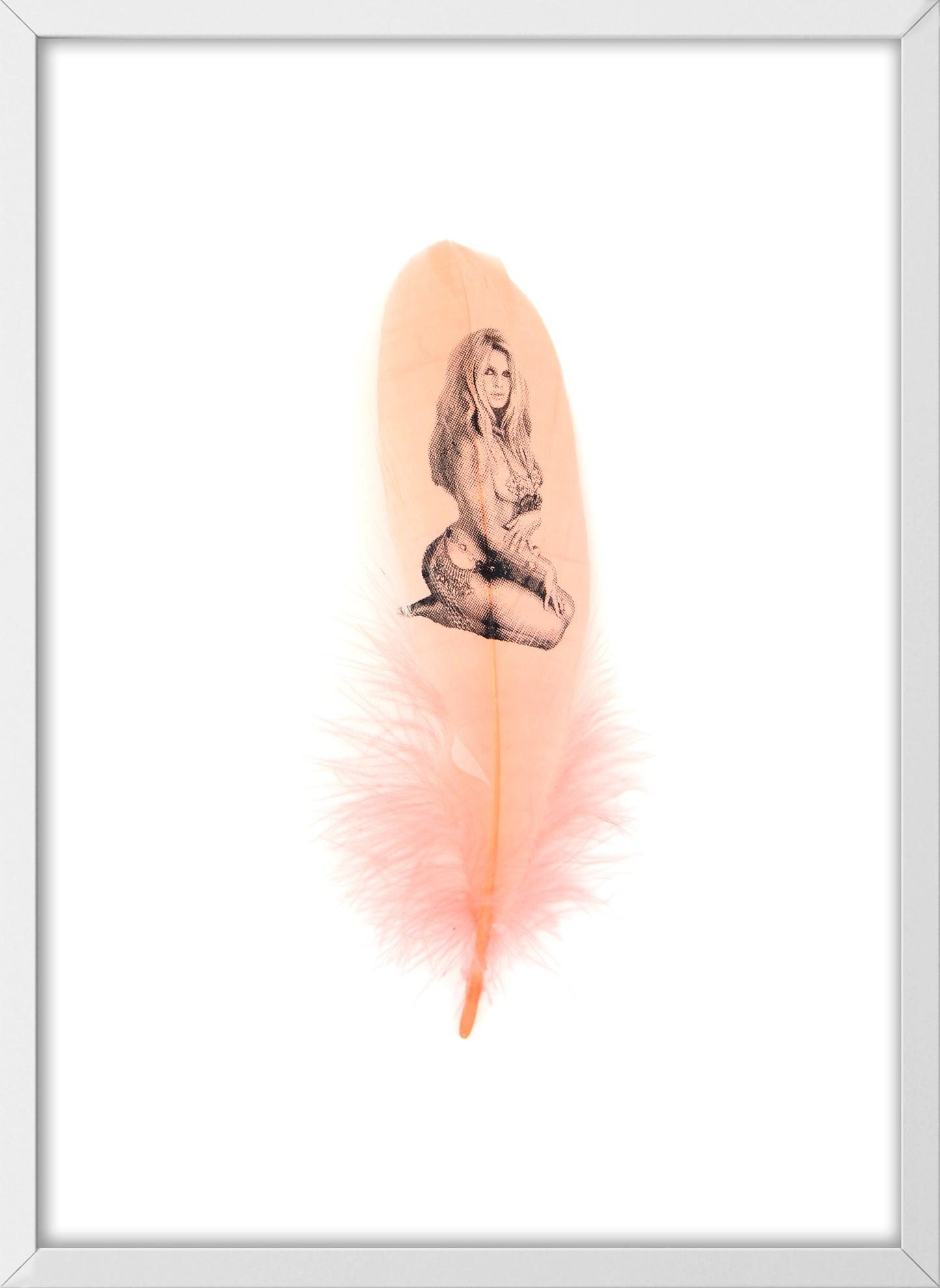 Brigitte Coral Pink Feather