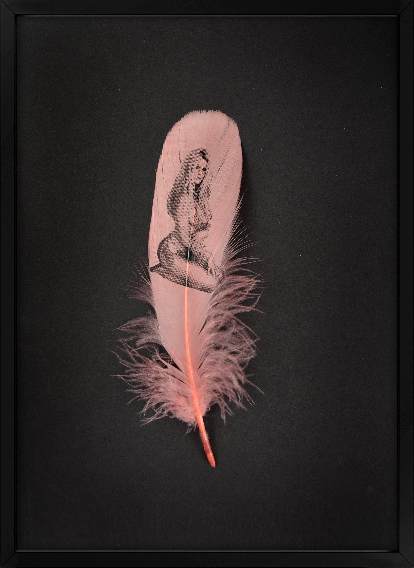 Brigitte Dusty Pink Feather