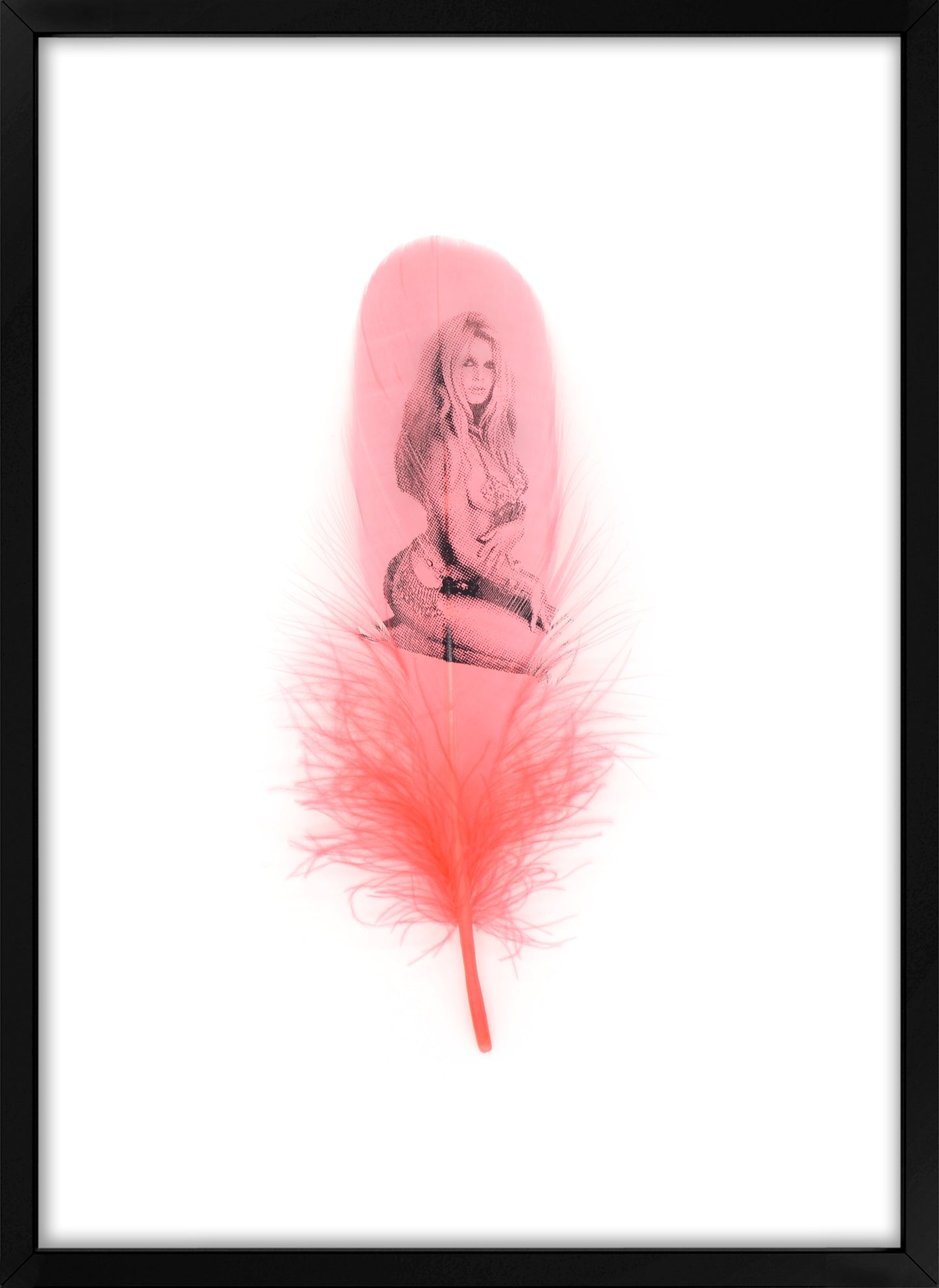 Brigitte Flamingo Pink Feather