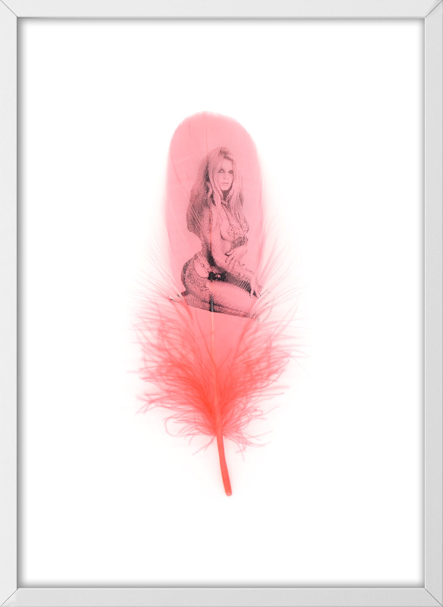 Brigitte Flamingo Pink Feather