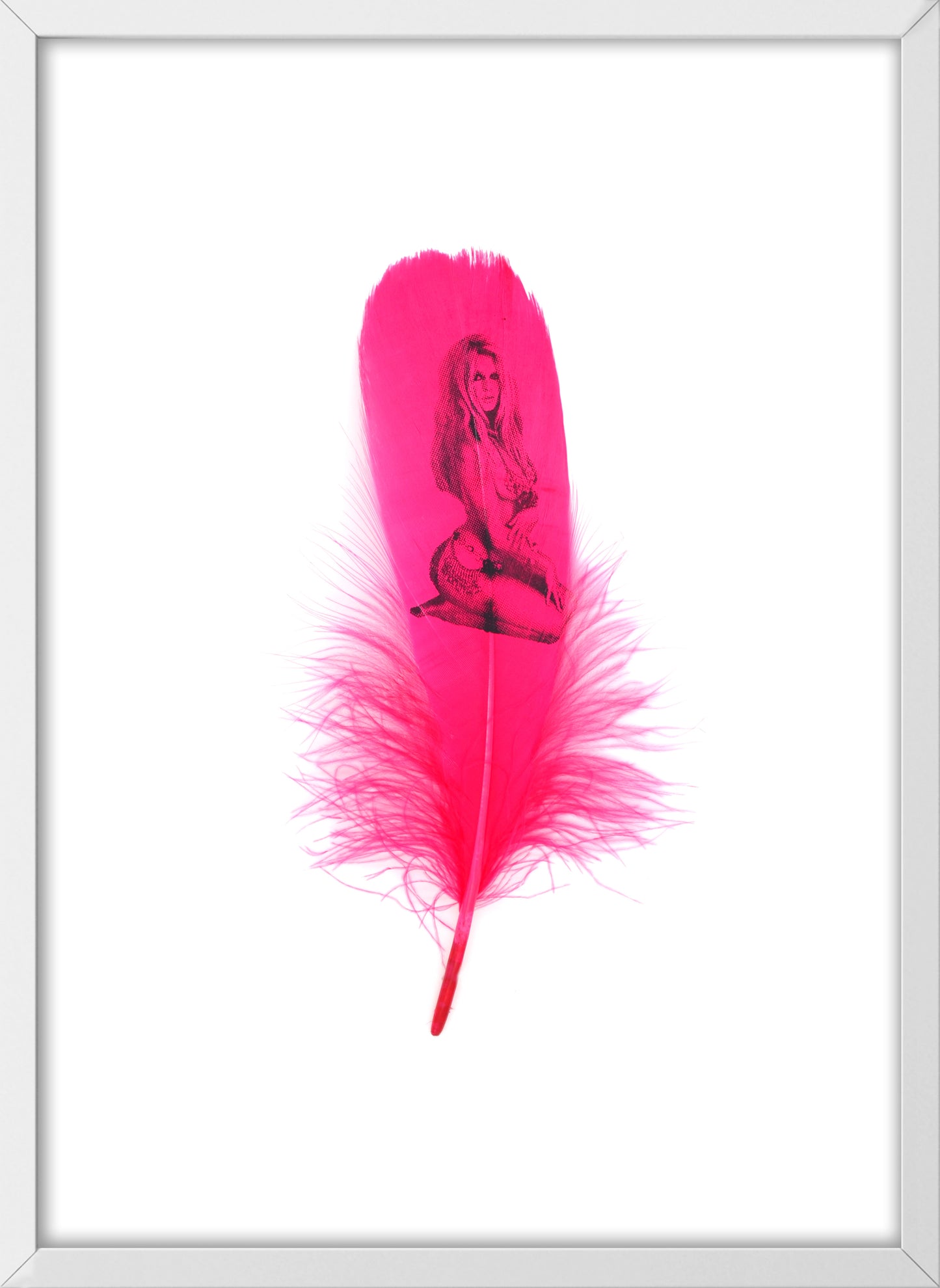 Brigitte Fuchsia Pink Feather