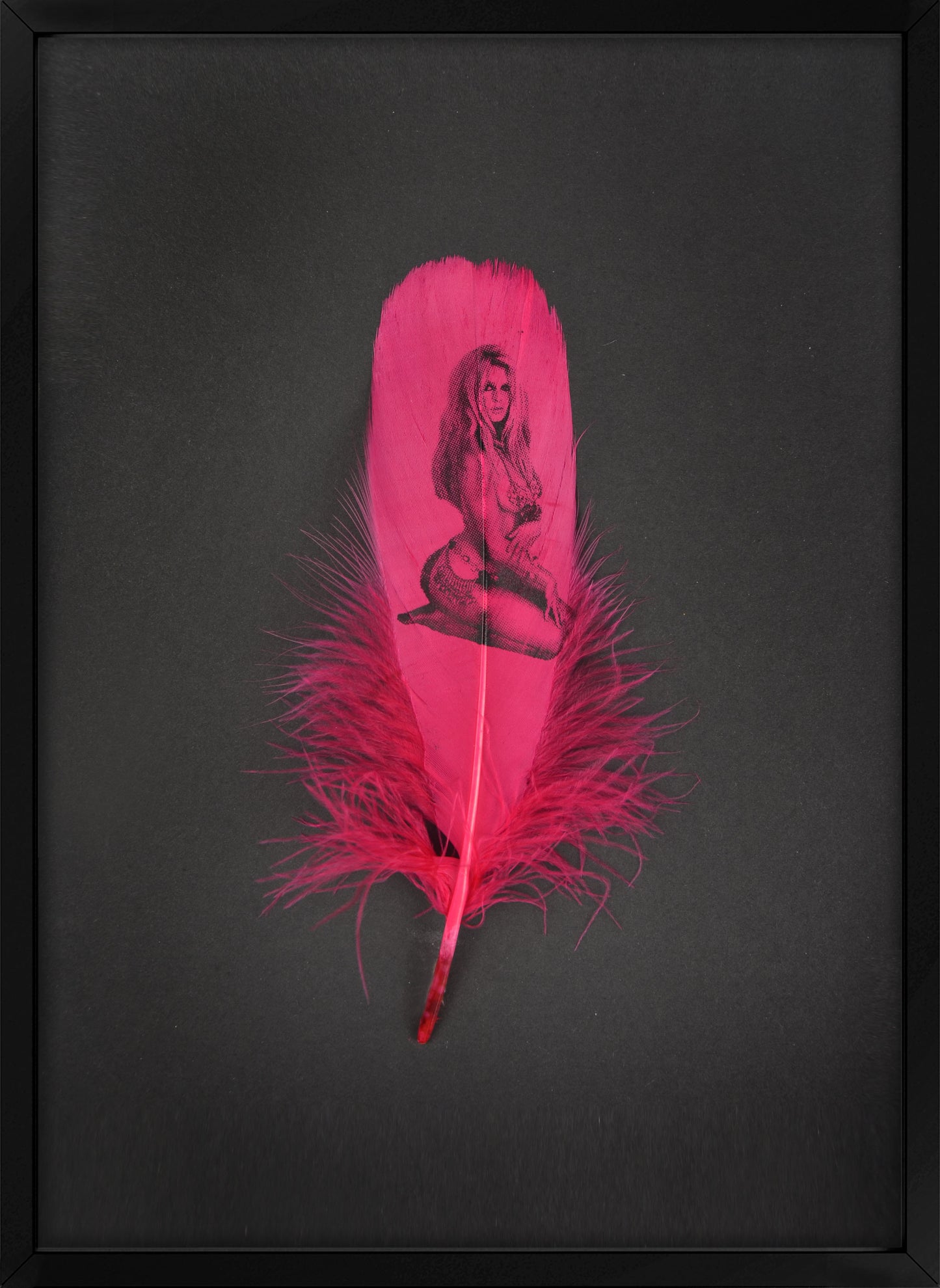 Brigitte Fuchsia Pink Feather