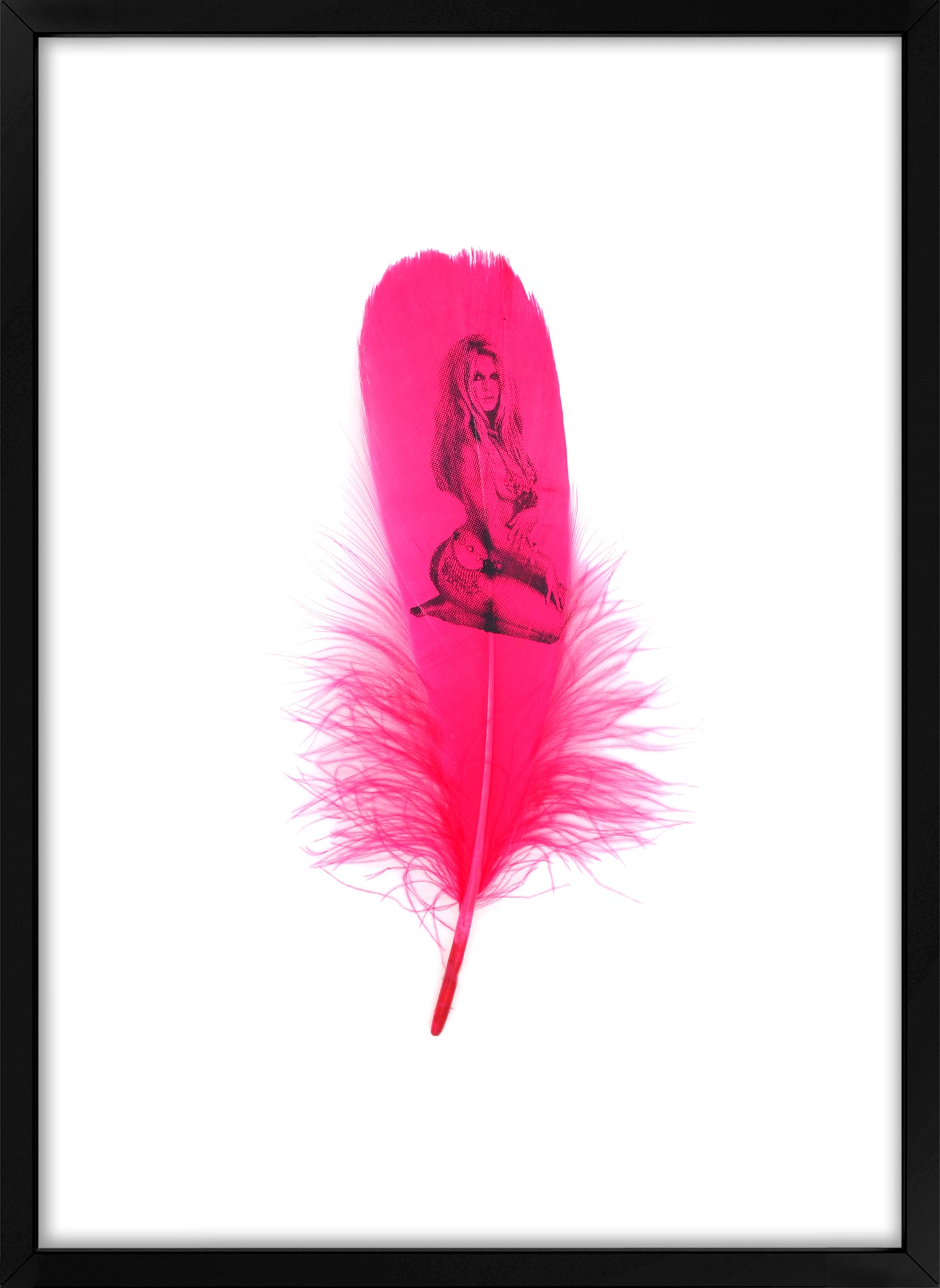 Brigitte Fuchsia Pink Feather