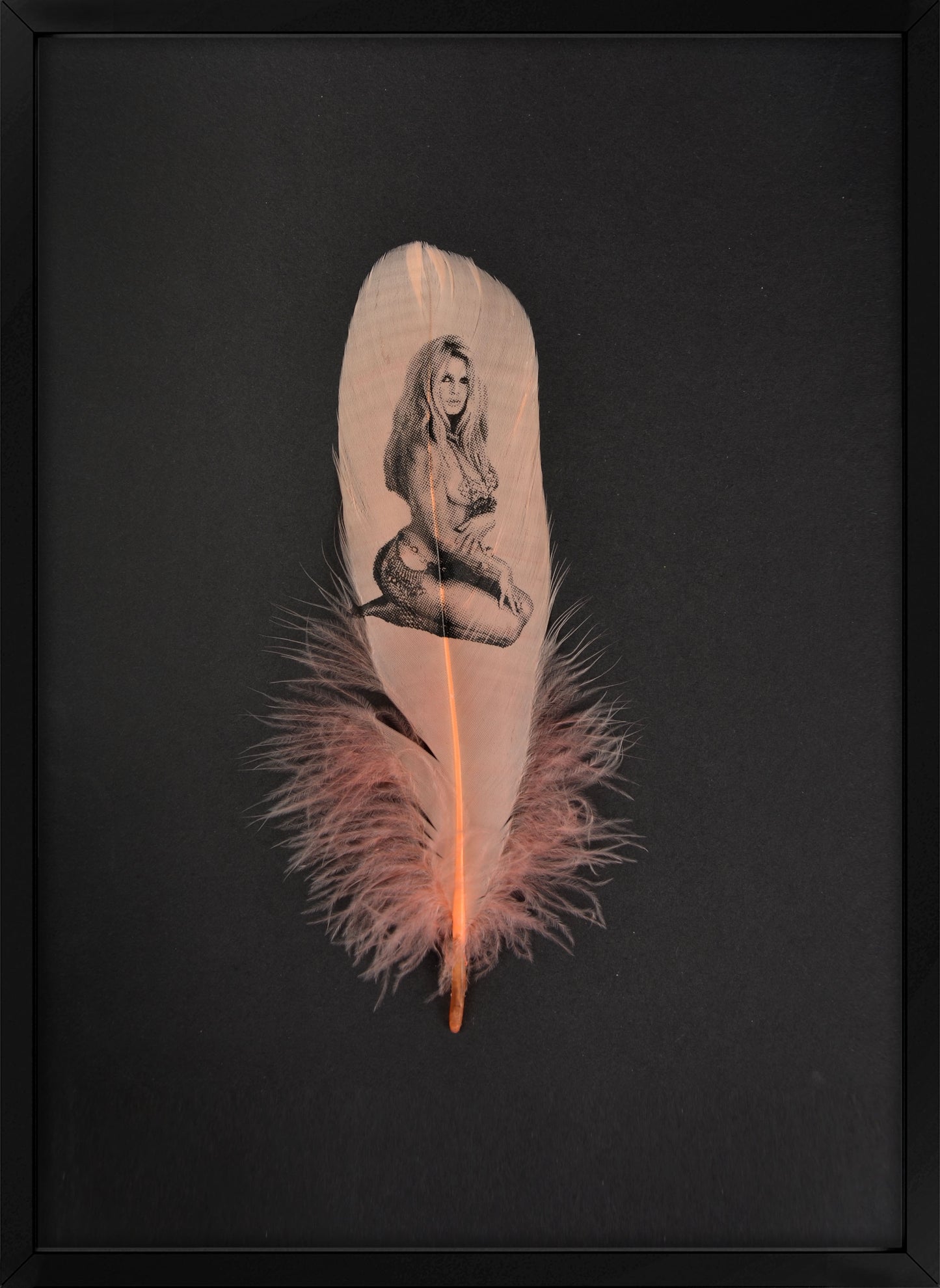 Brigitte Coral Pink Feather