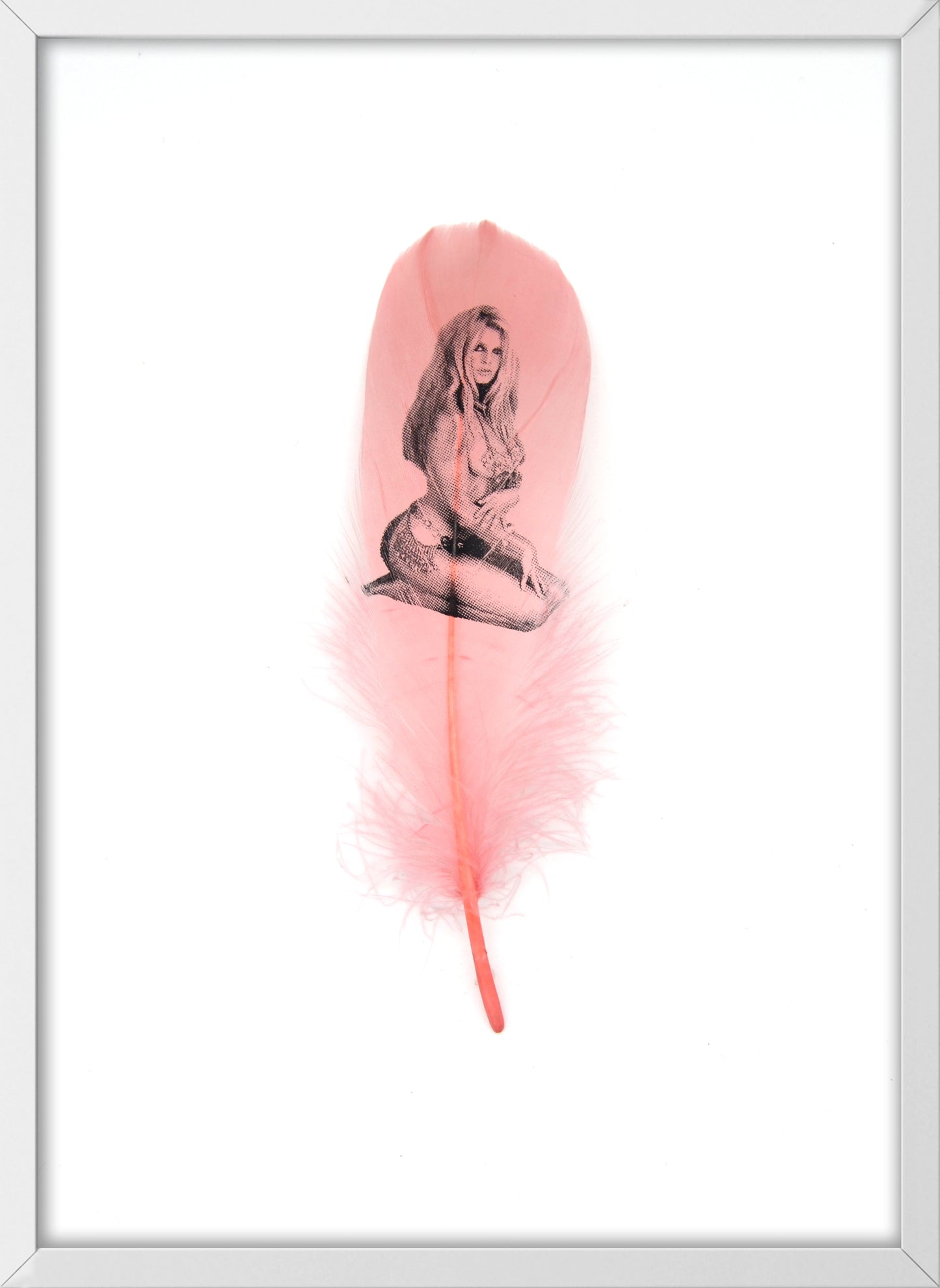 Brigitte Dusty Pink Feather