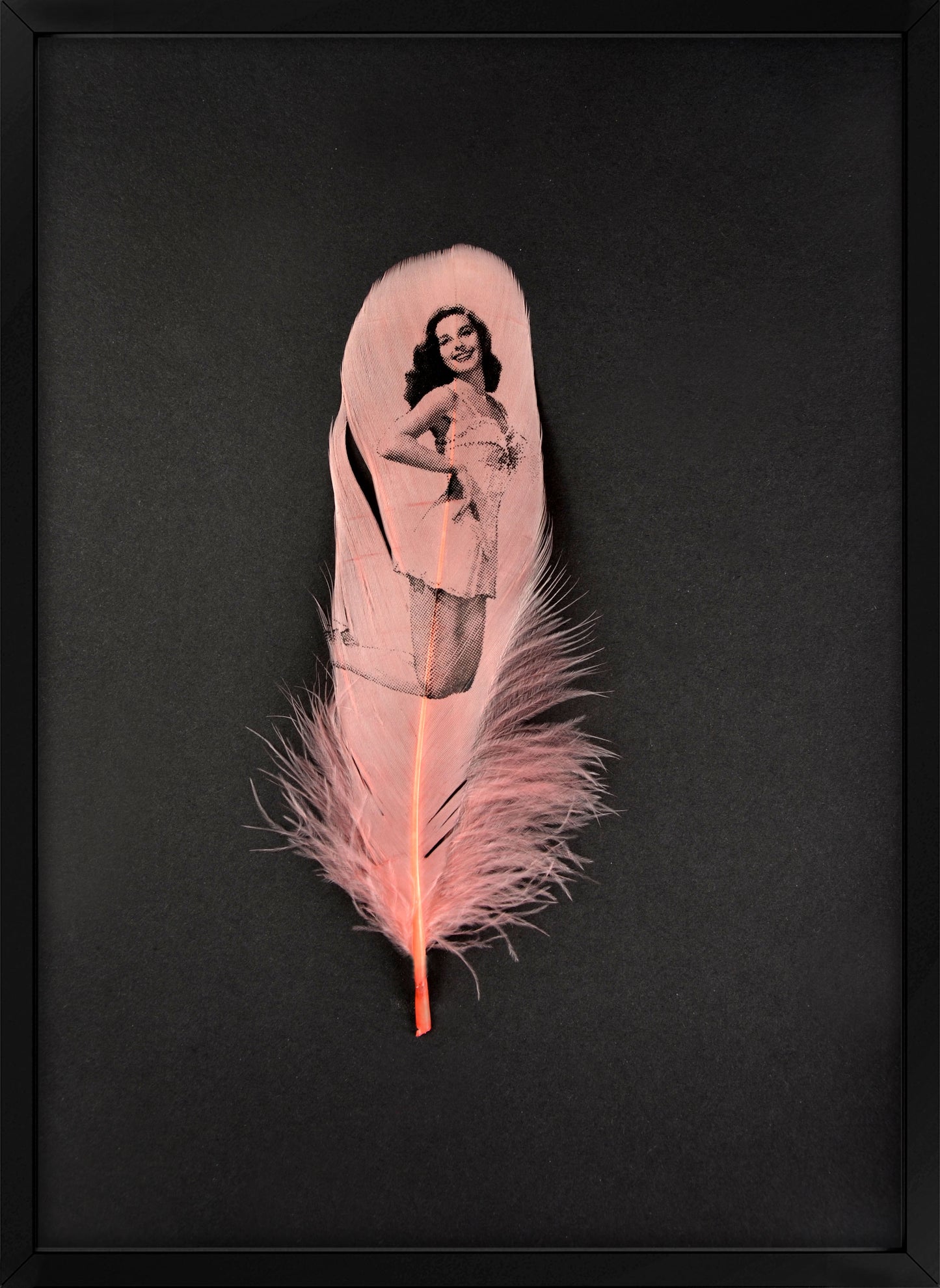 Elaine Dusty Pink Feather