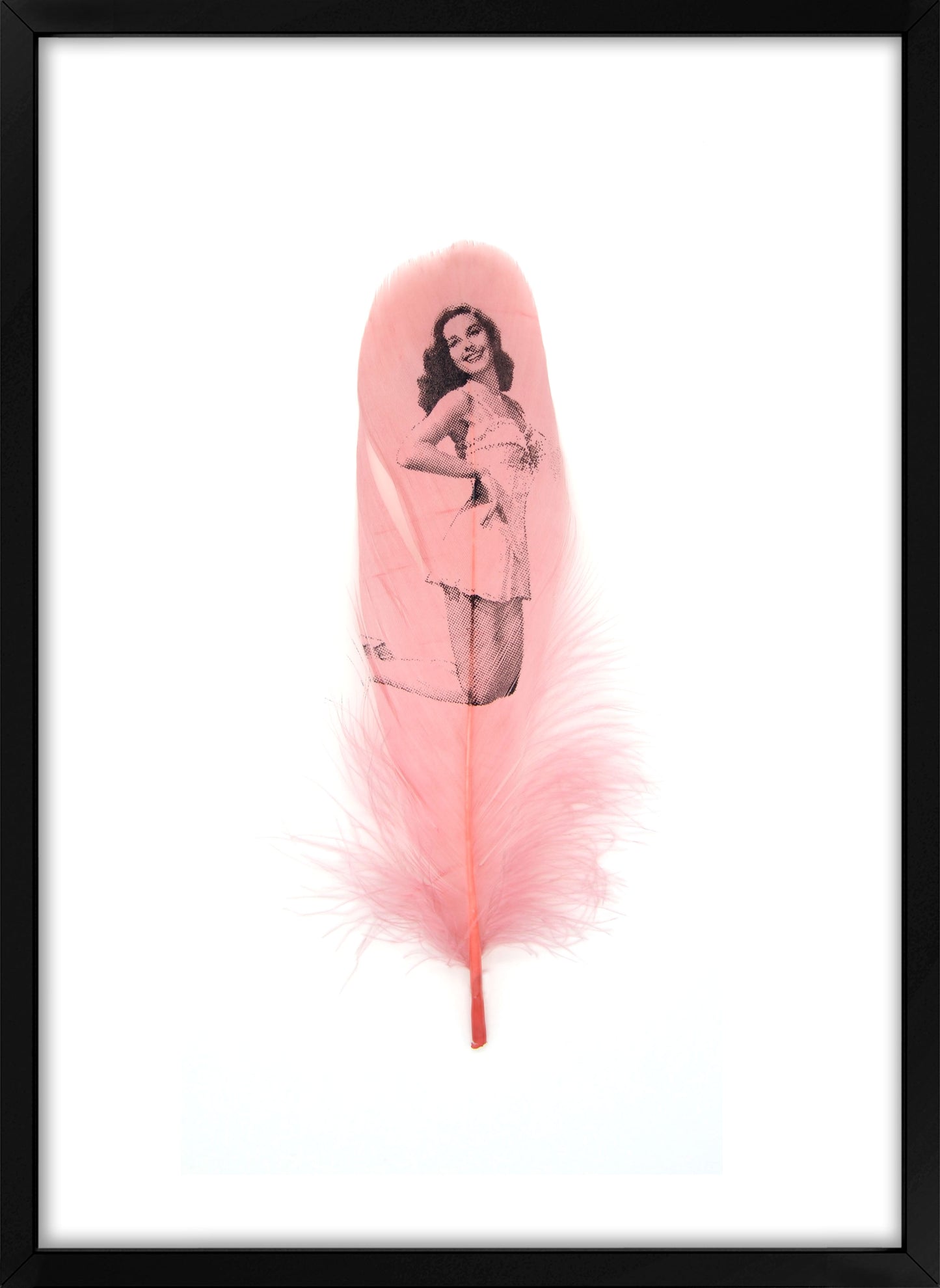 Elaine Dusty Pink Feather