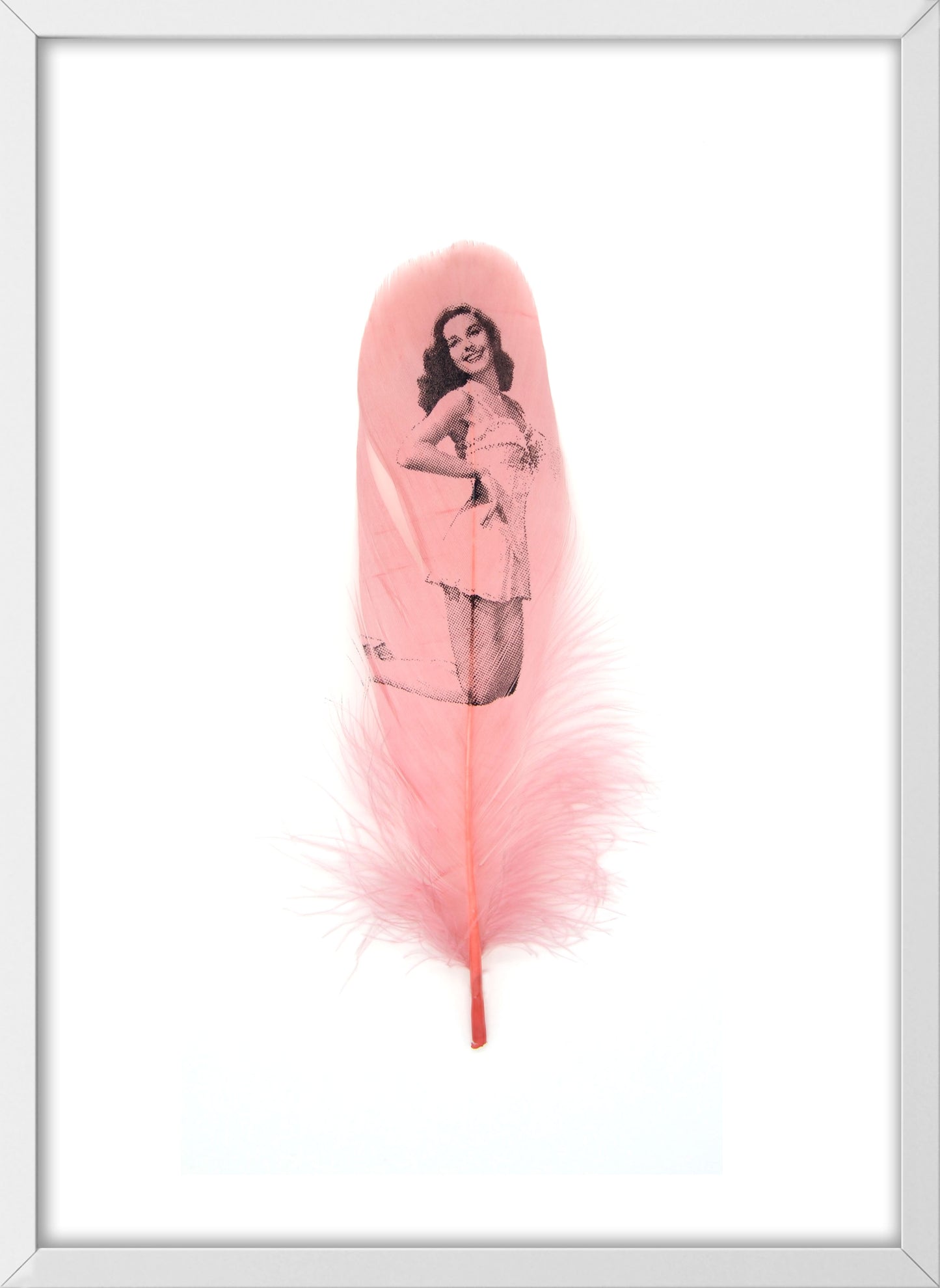 Elaine Dusty Pink Feather