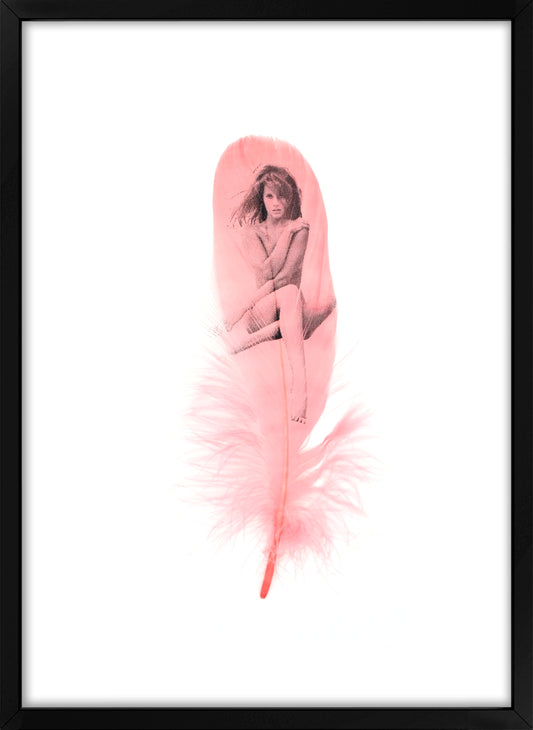 Jane Dusty Pink Feather