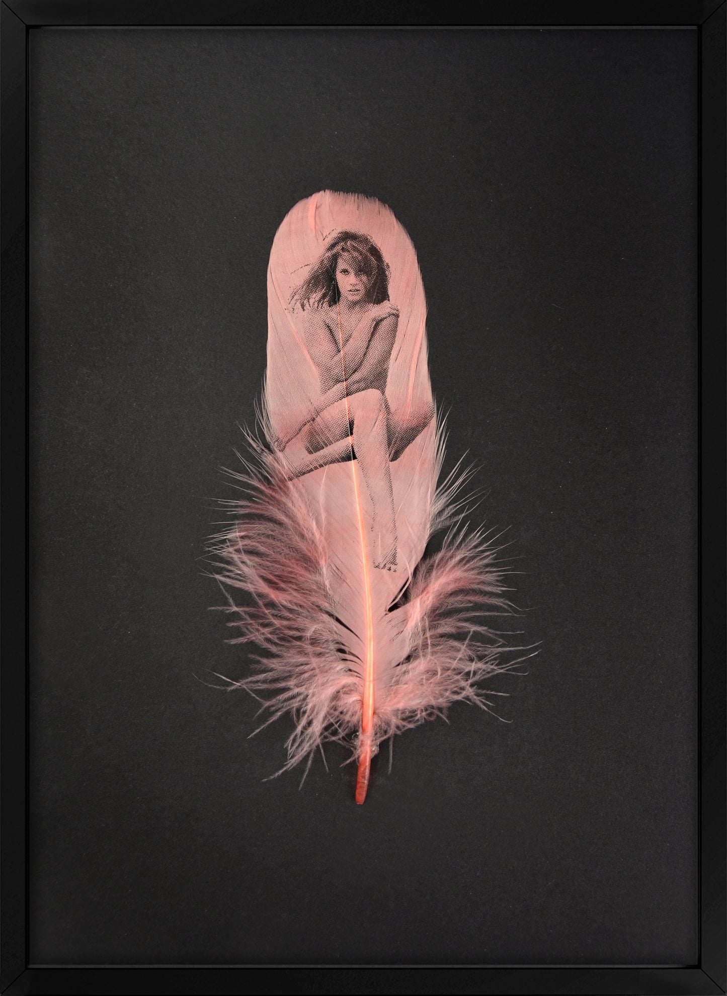 Jane Dusty Pink Feather