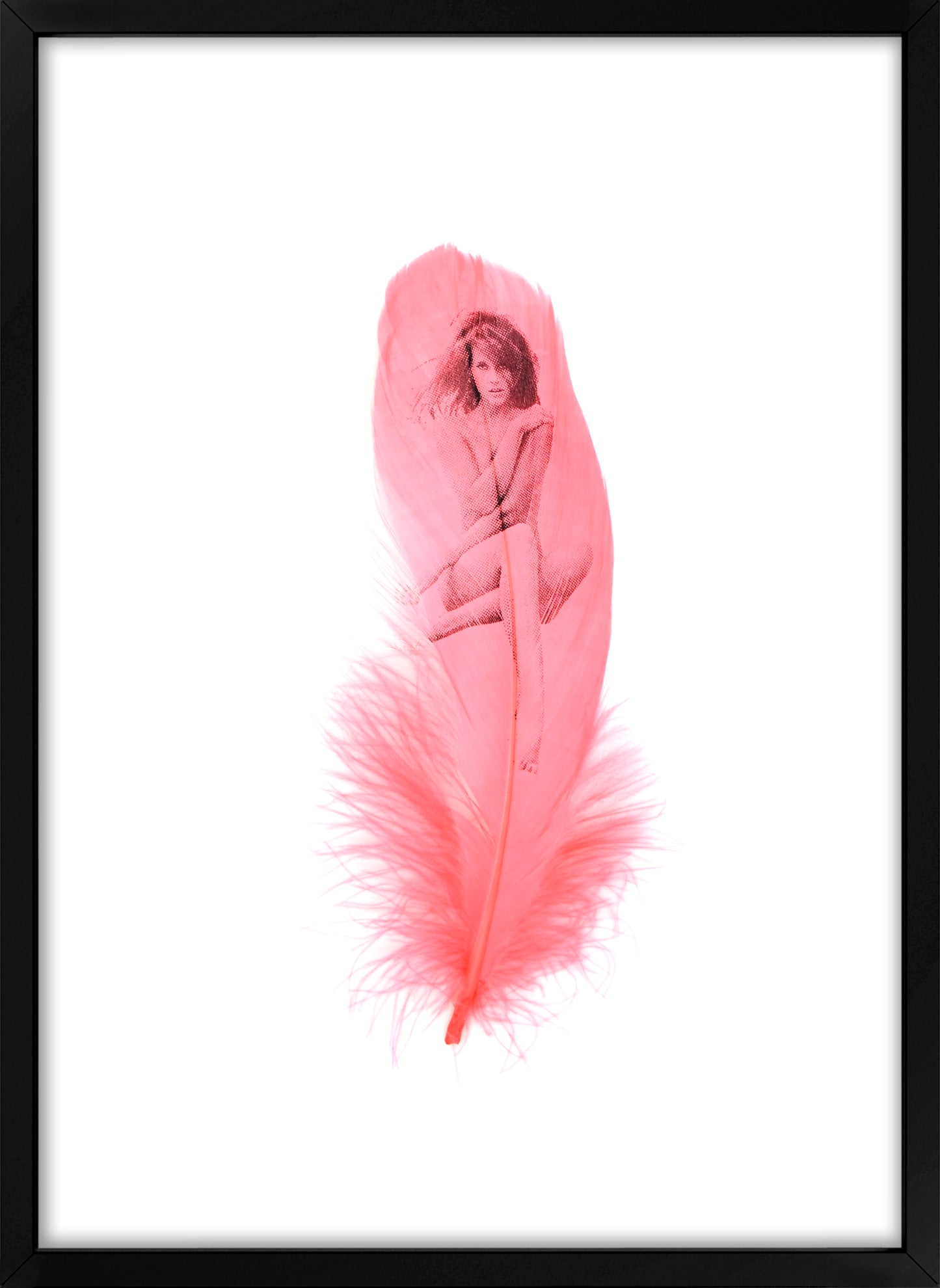 Jane Flamingo Pink Feather