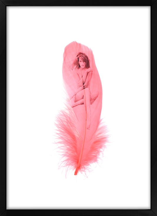 Jane Flamingo Pink Feather