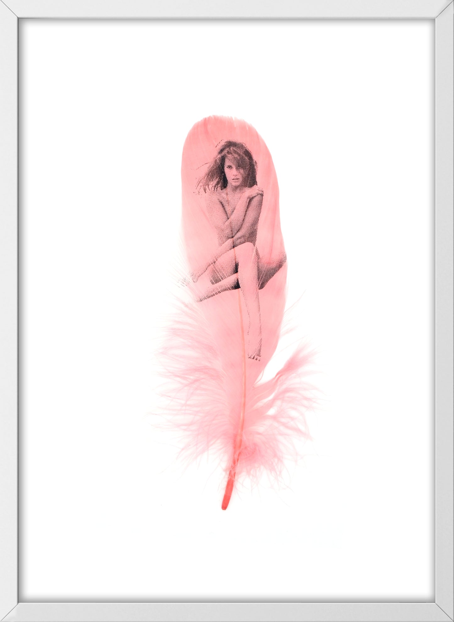 Jane Dusty Pink Feather