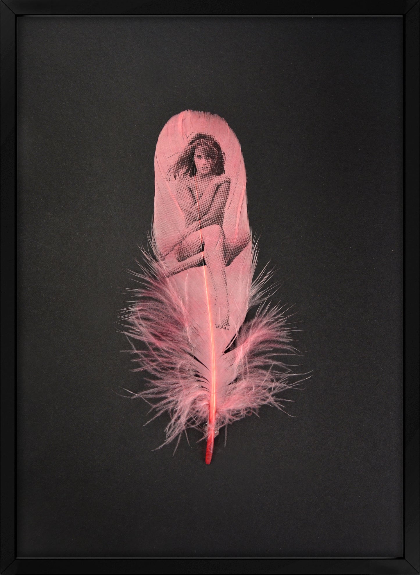 Jane Flamingo Pink Feather