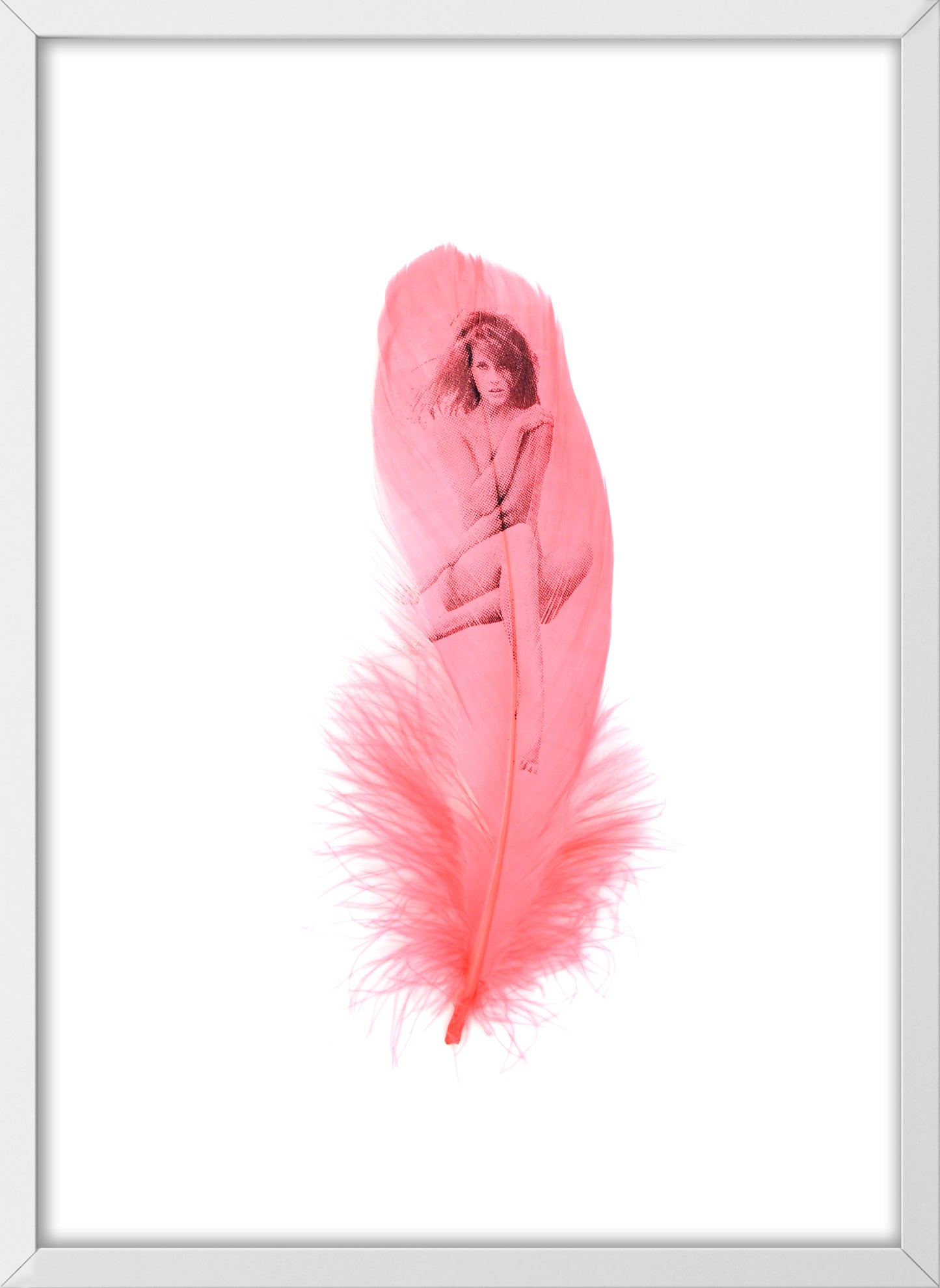 Jane Flamingo Pink Feather