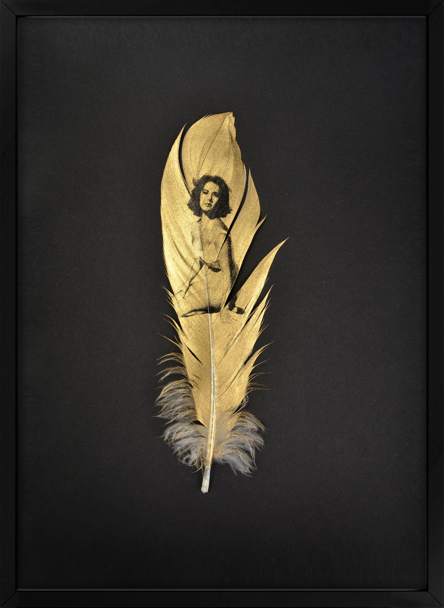 Liz Gold Feather