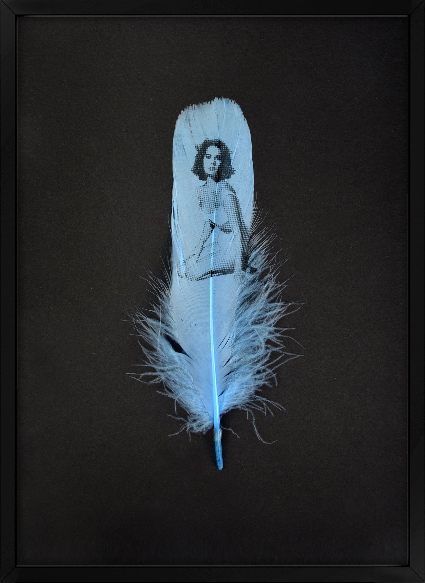 Liz Baby Blue Feather