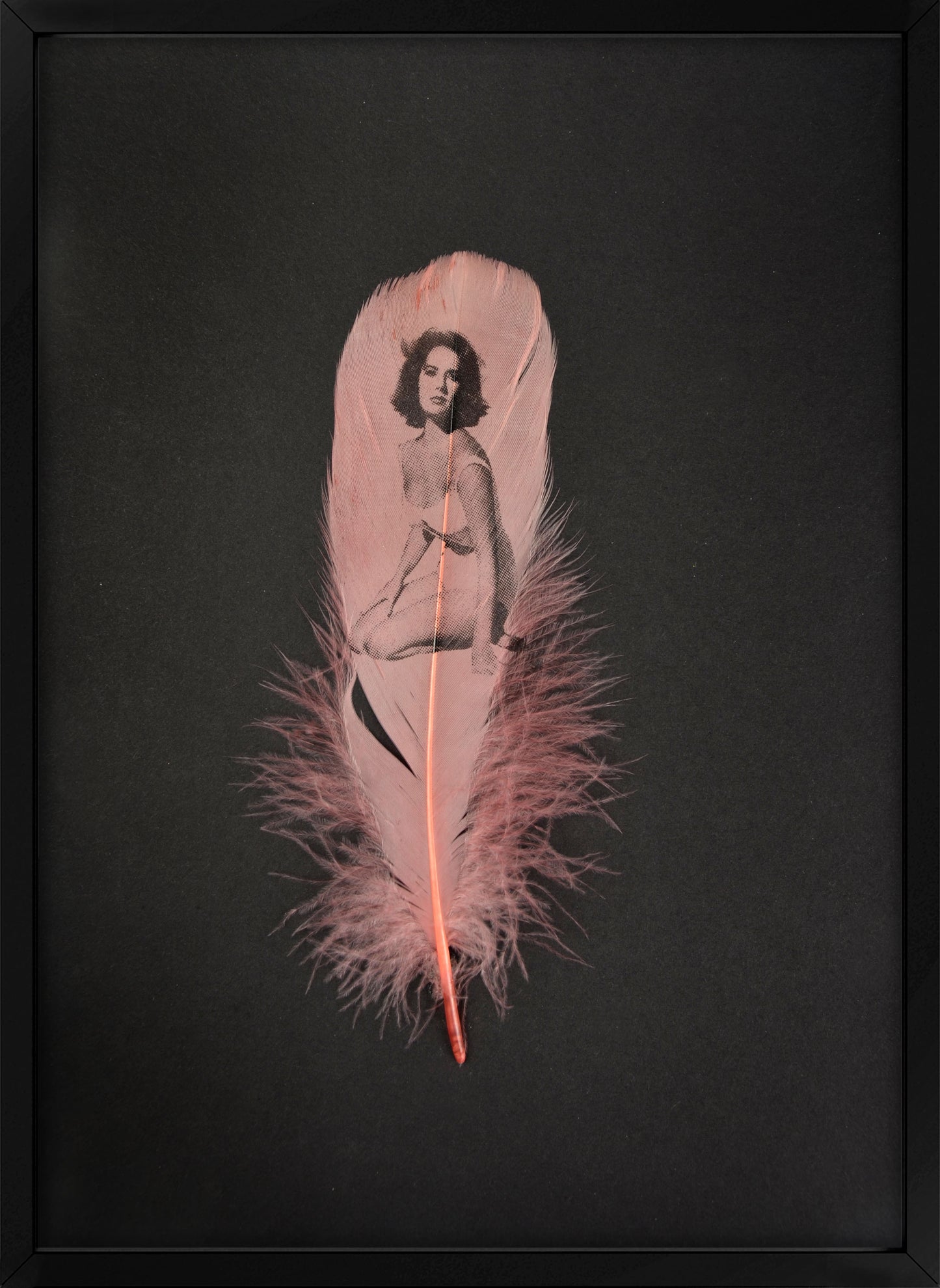 Liz Dusty Pink Feather