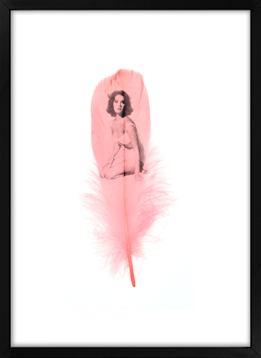 Liz Dusty Pink Feather