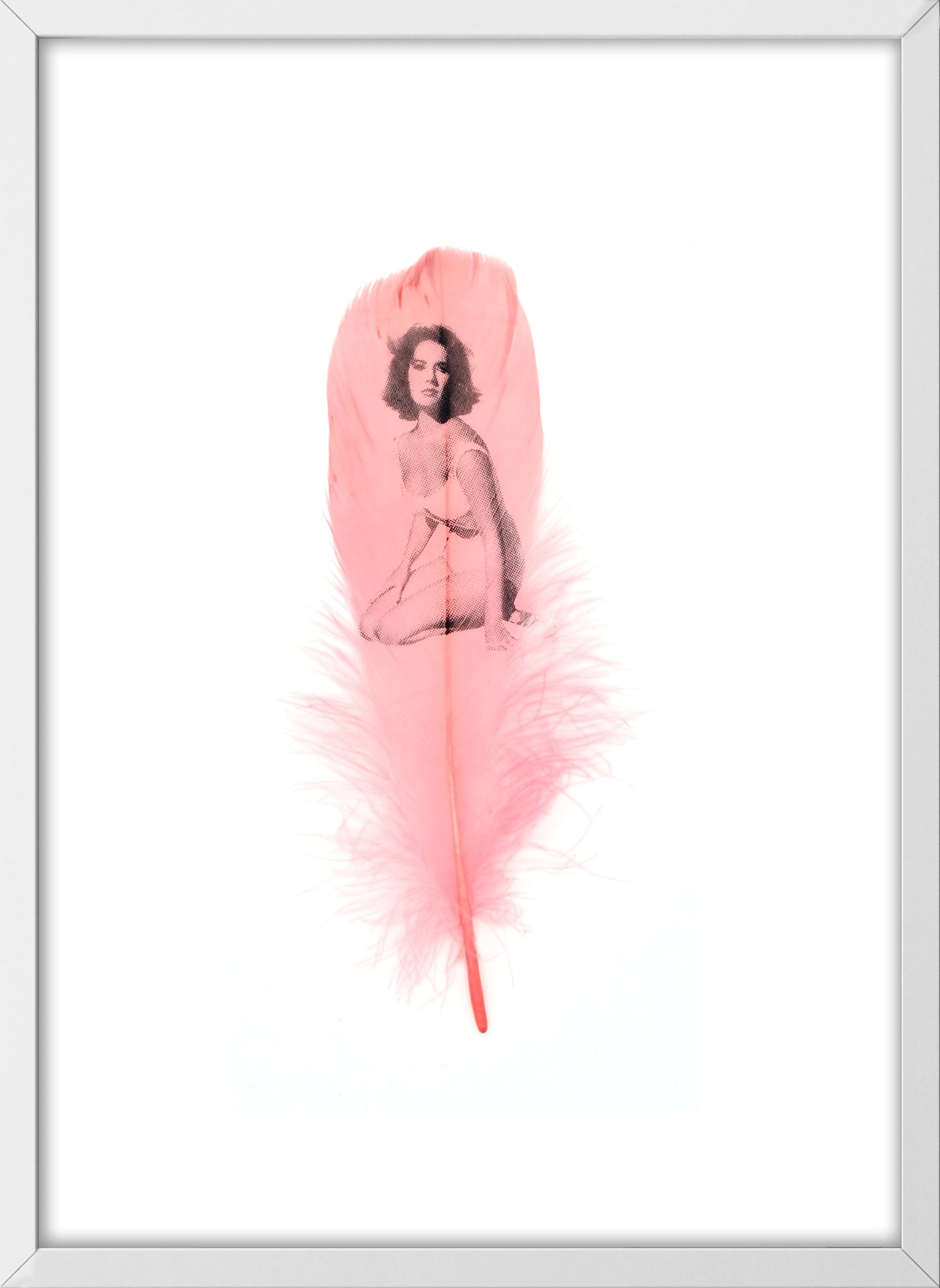 Liz Dusty Pink Feather