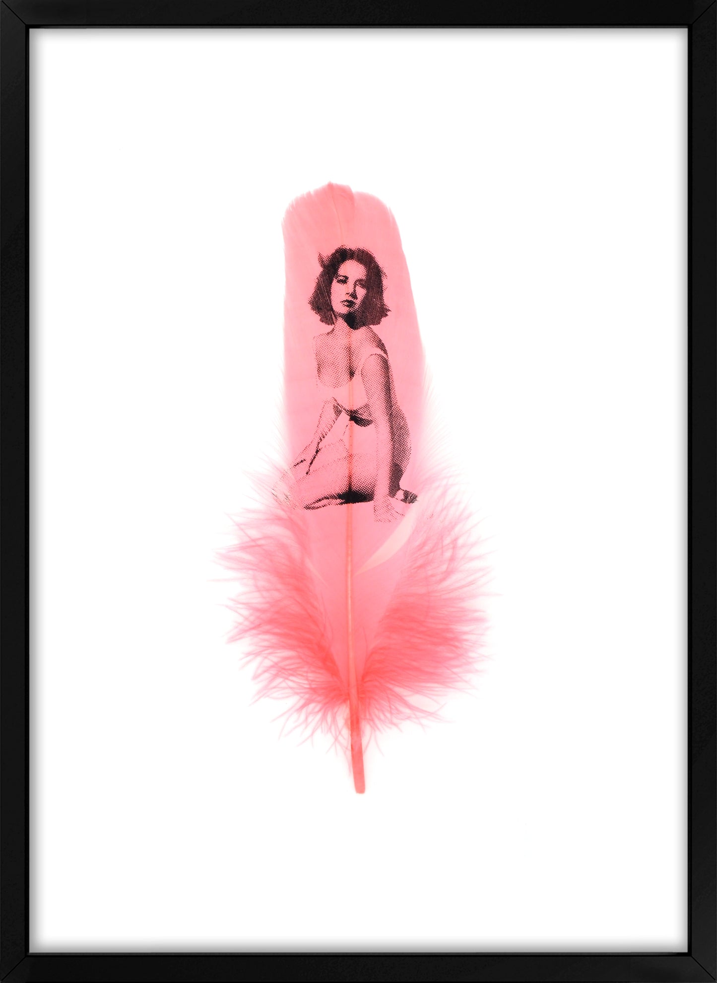 Liz Flamingo Pink Feather