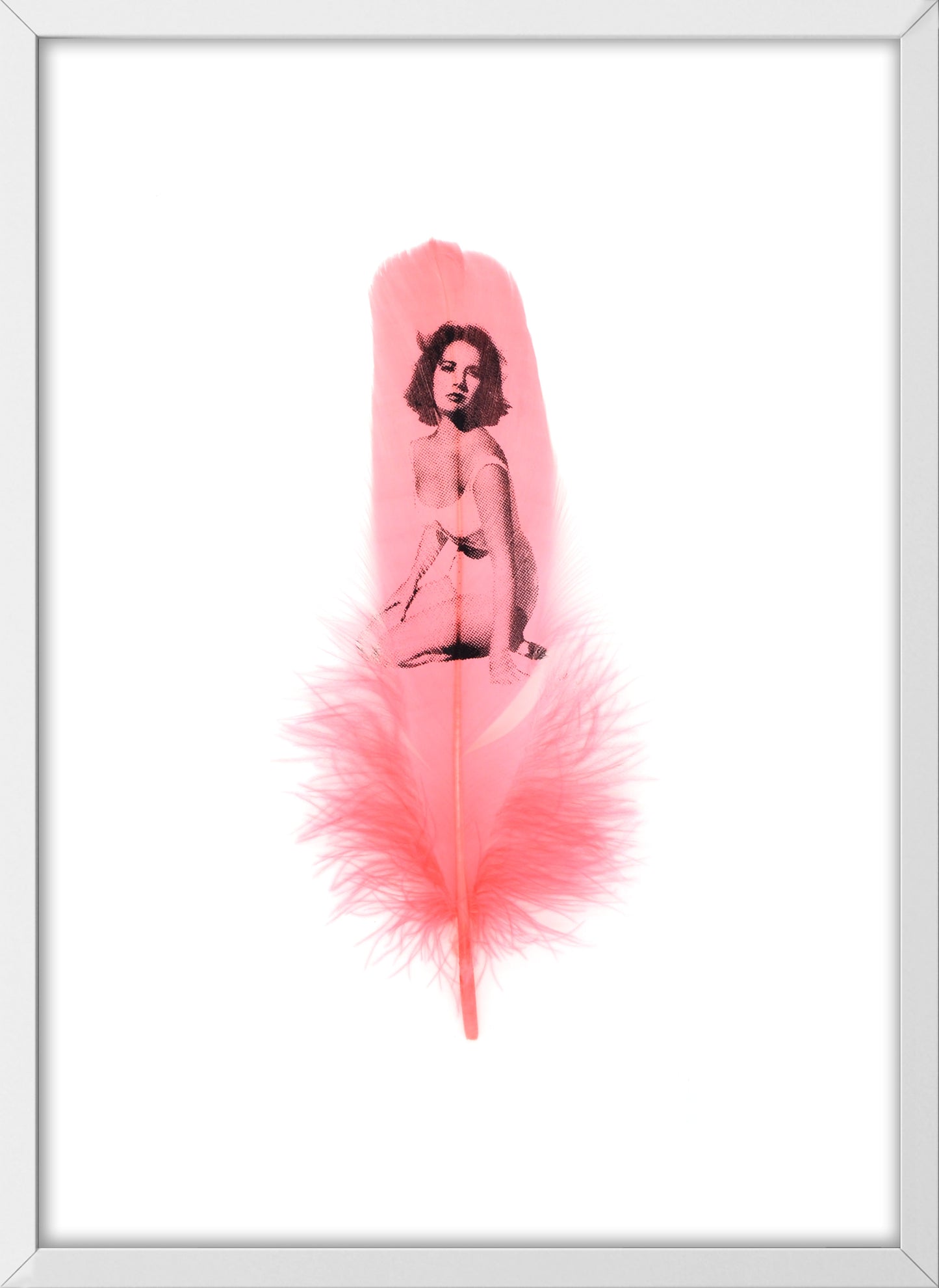 Liz Flamingo Pink Feather