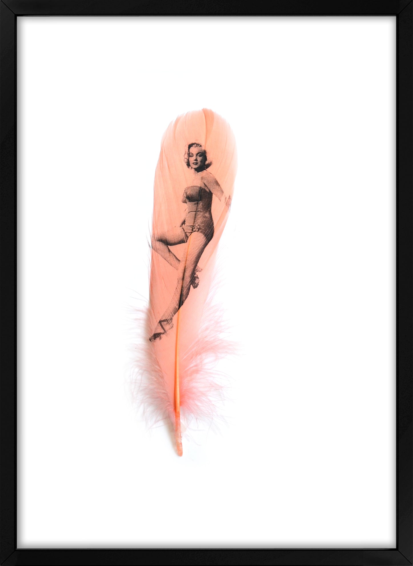 Marilyn Coral Pink Feather