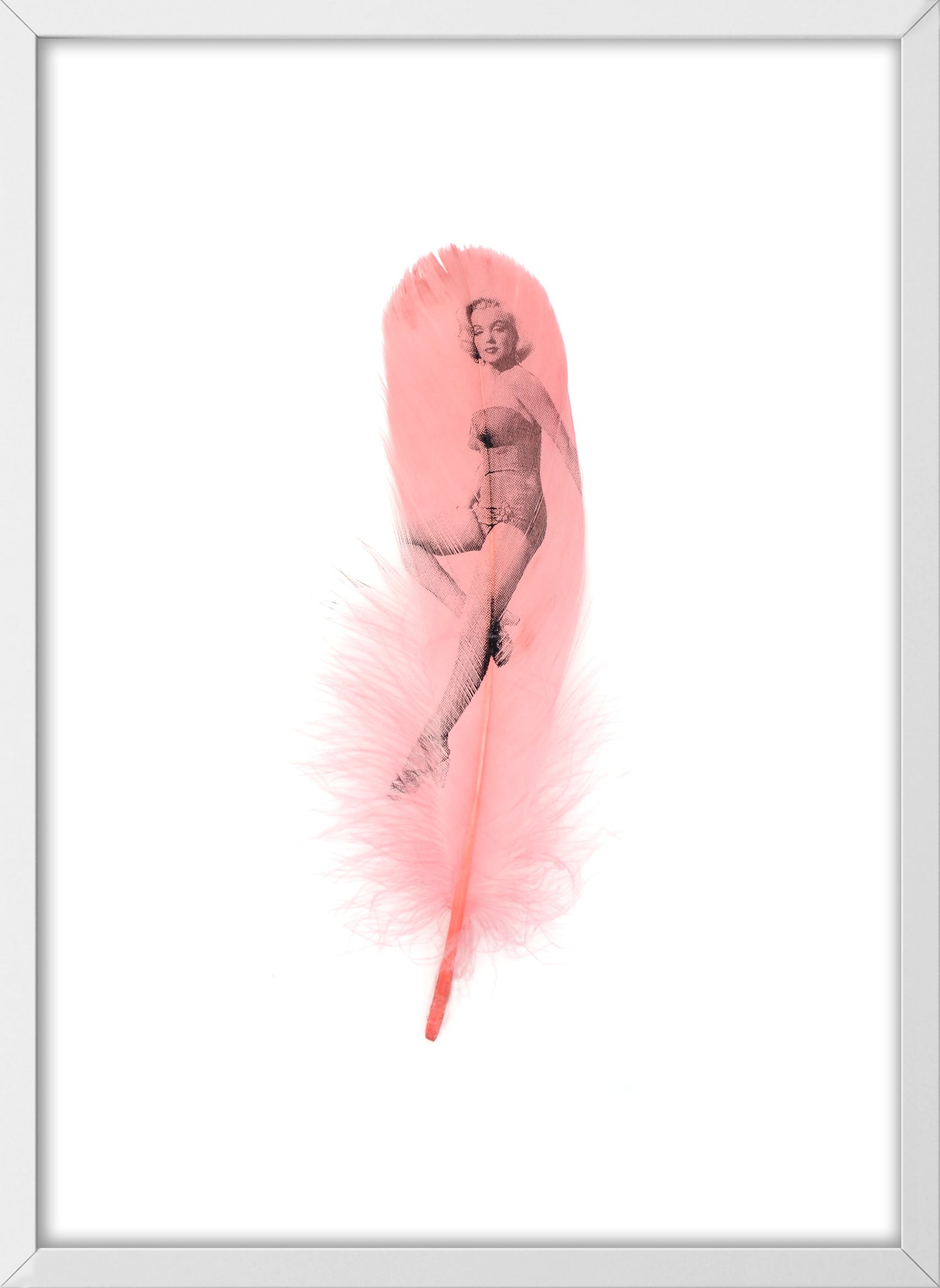 Marilyn Dusty Pink Feather