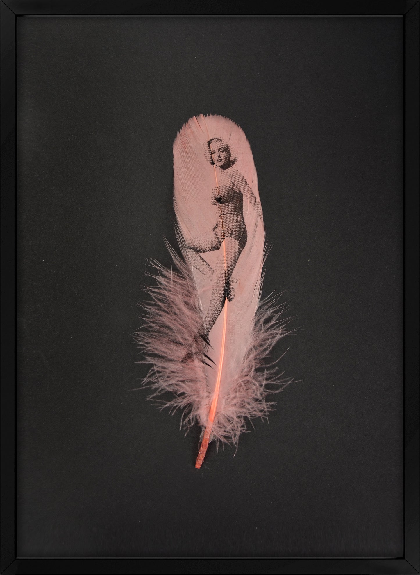 Marilyn Dusty Pink Feather