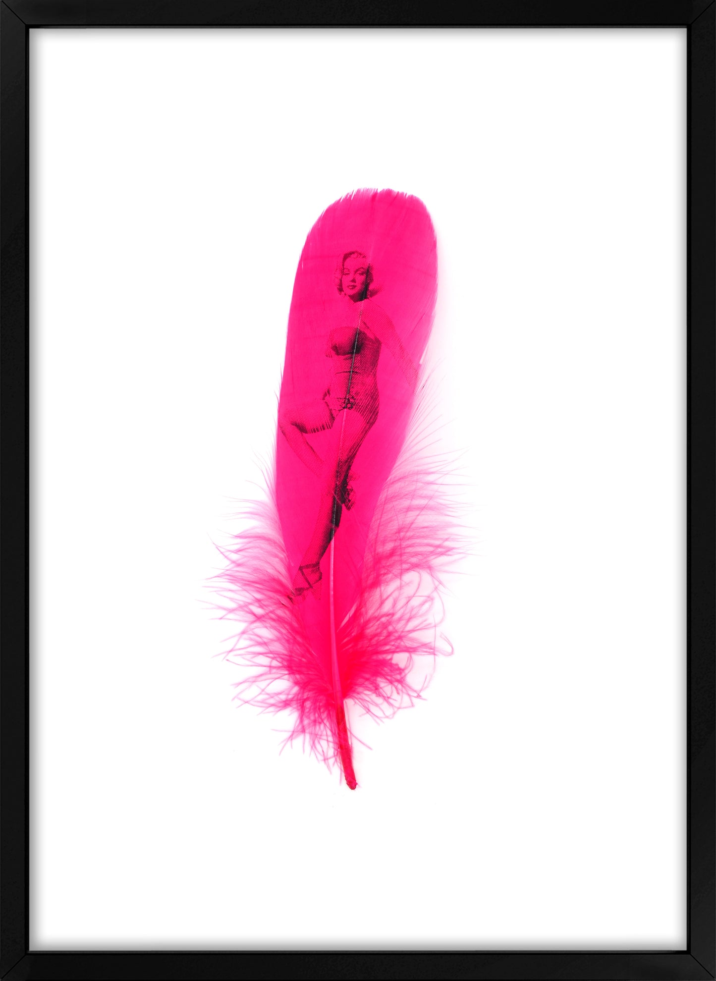 Marilyn Fuchsia Pink Feather