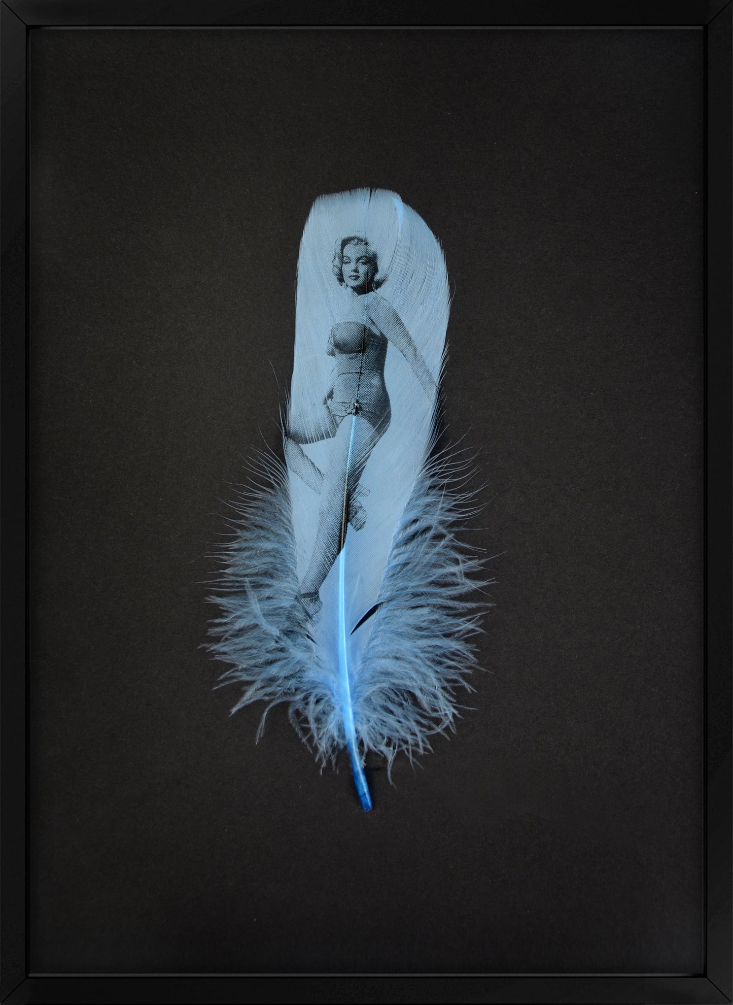 Marilyn Baby Blue Feather