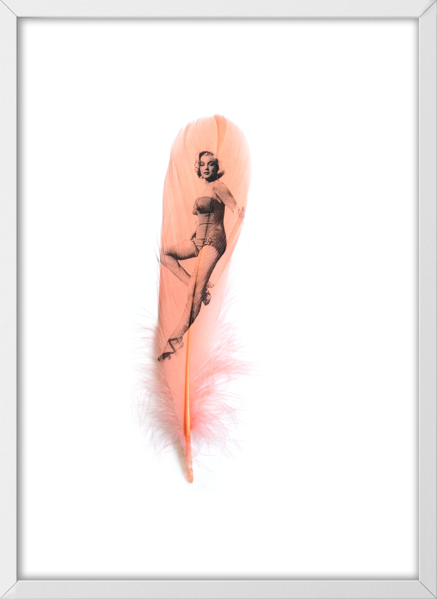 Marilyn Coral Pink Feather