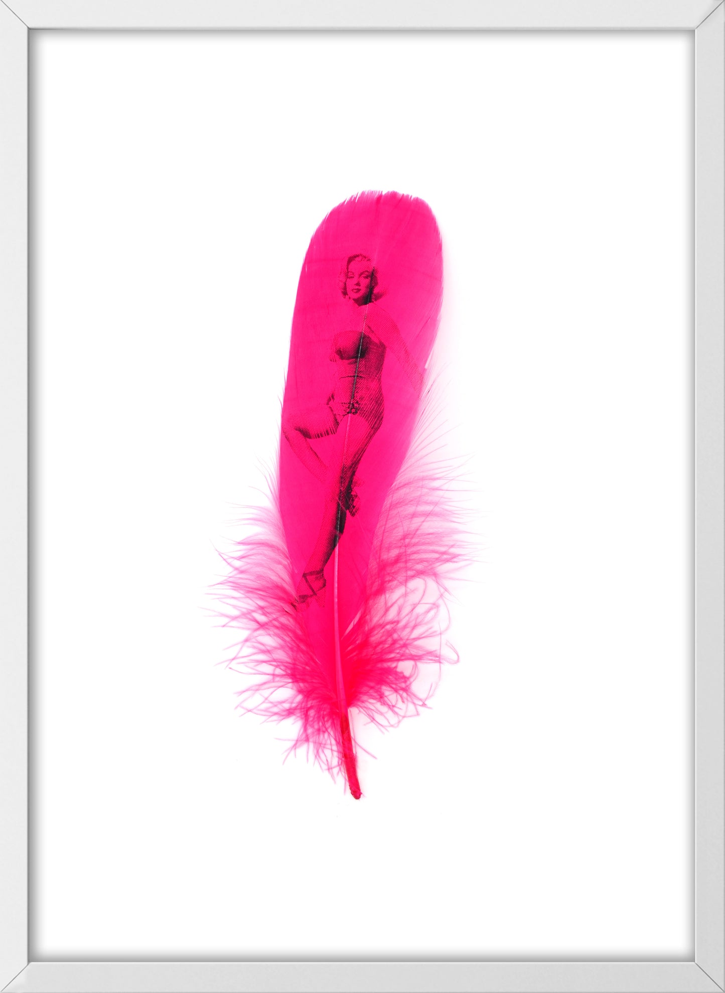 Marilyn Fuchsia Pink Feather