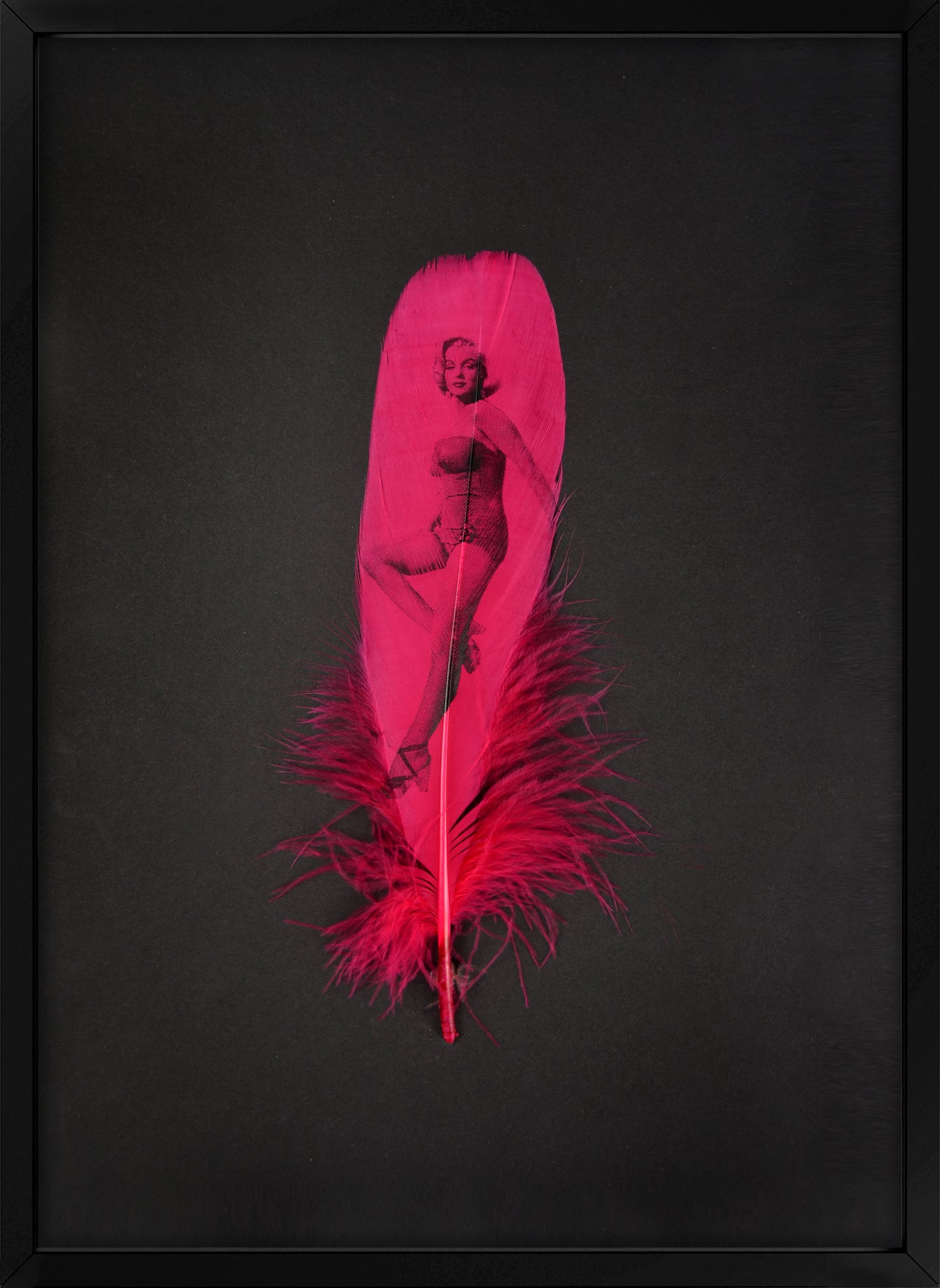 Marilyn Fuchsia Pink Feather