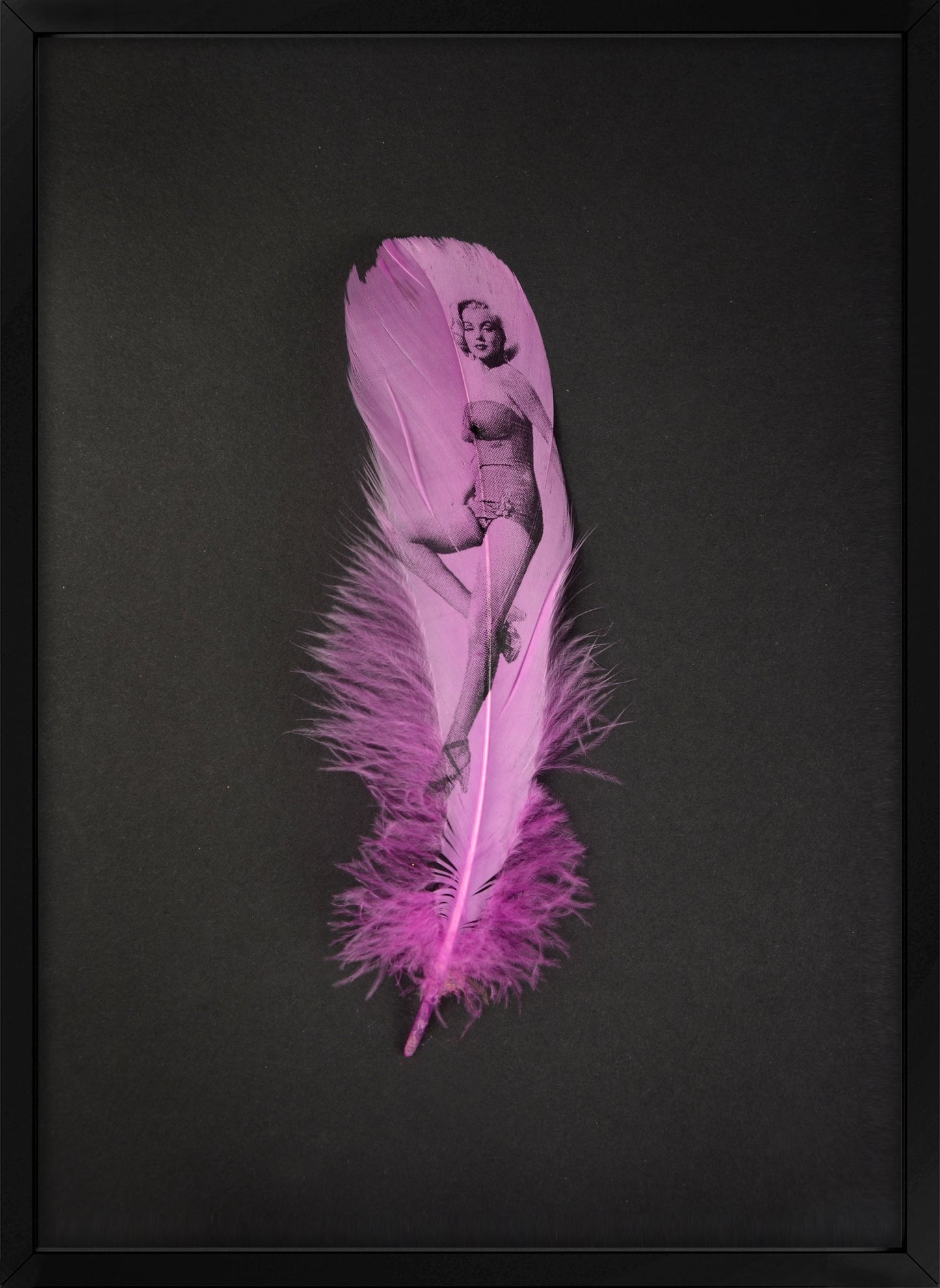 Marilyn Lavender Feather