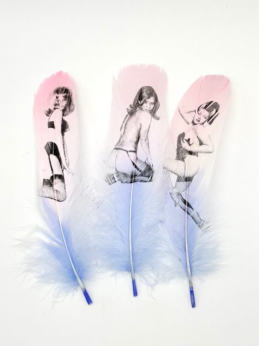 Pin Up Pink & Blue Ombre Set